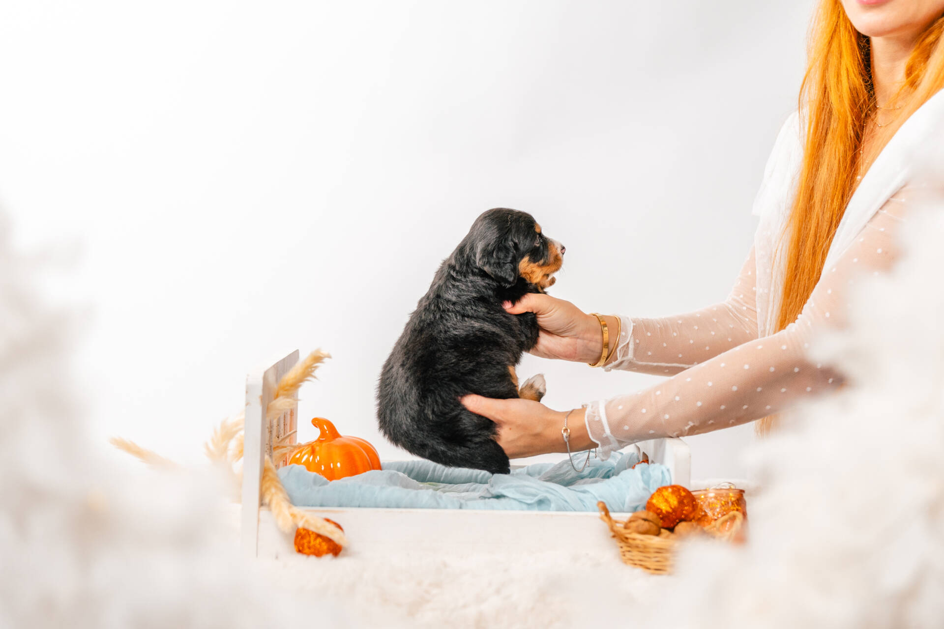 Dora - Mini F2 Girl - Image 6