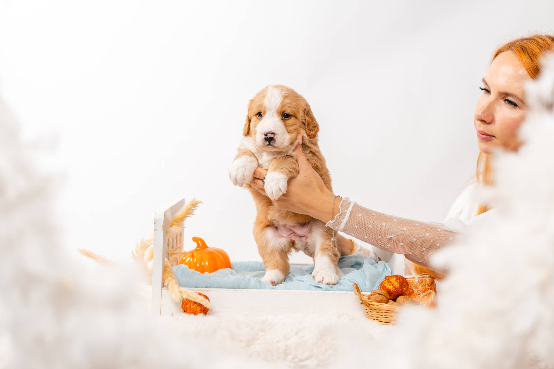 Blossom - Mini F2 Girl Unfurnished - Image 2