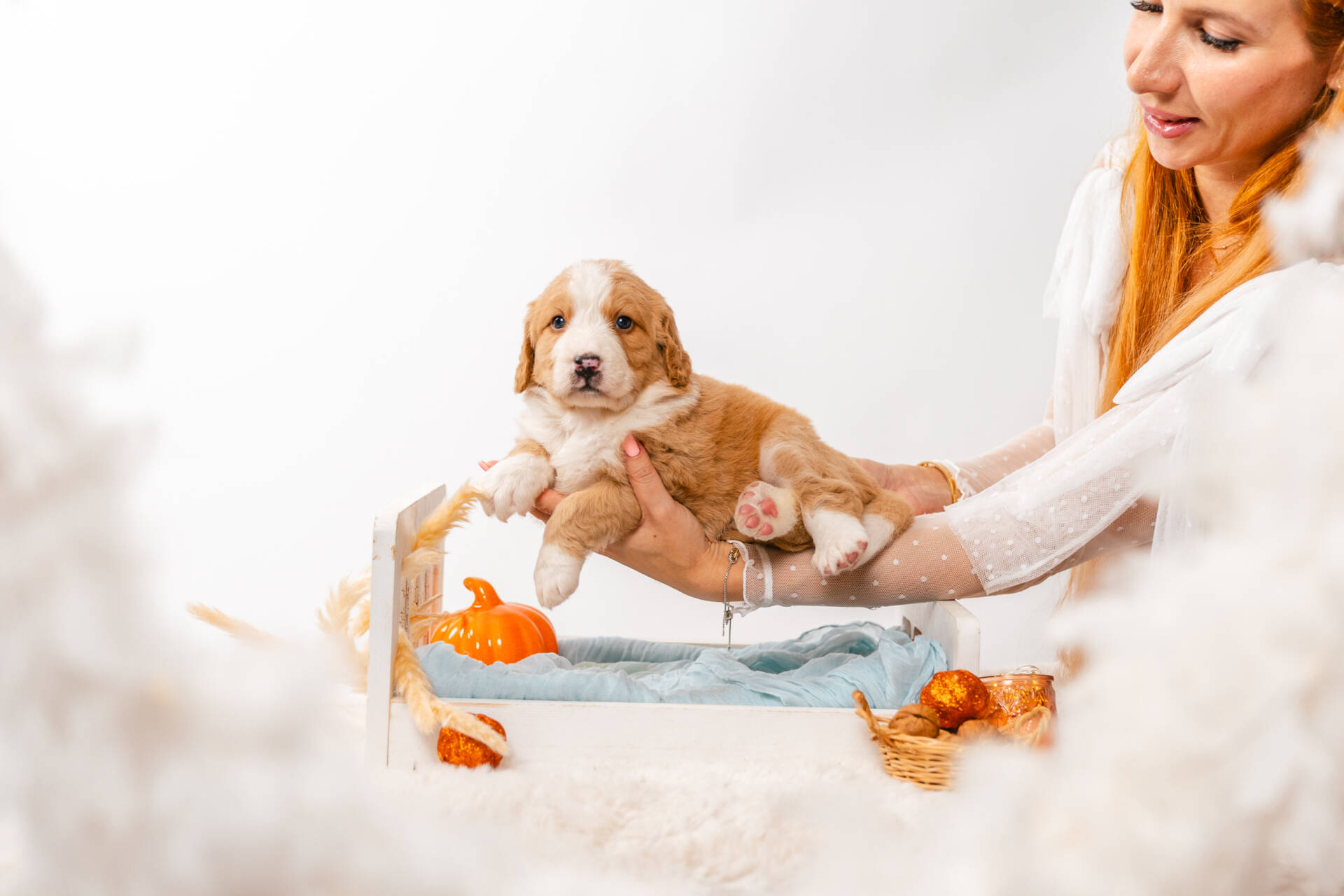 Blossom - Mini F2 Girl Unfurnished - Image 3