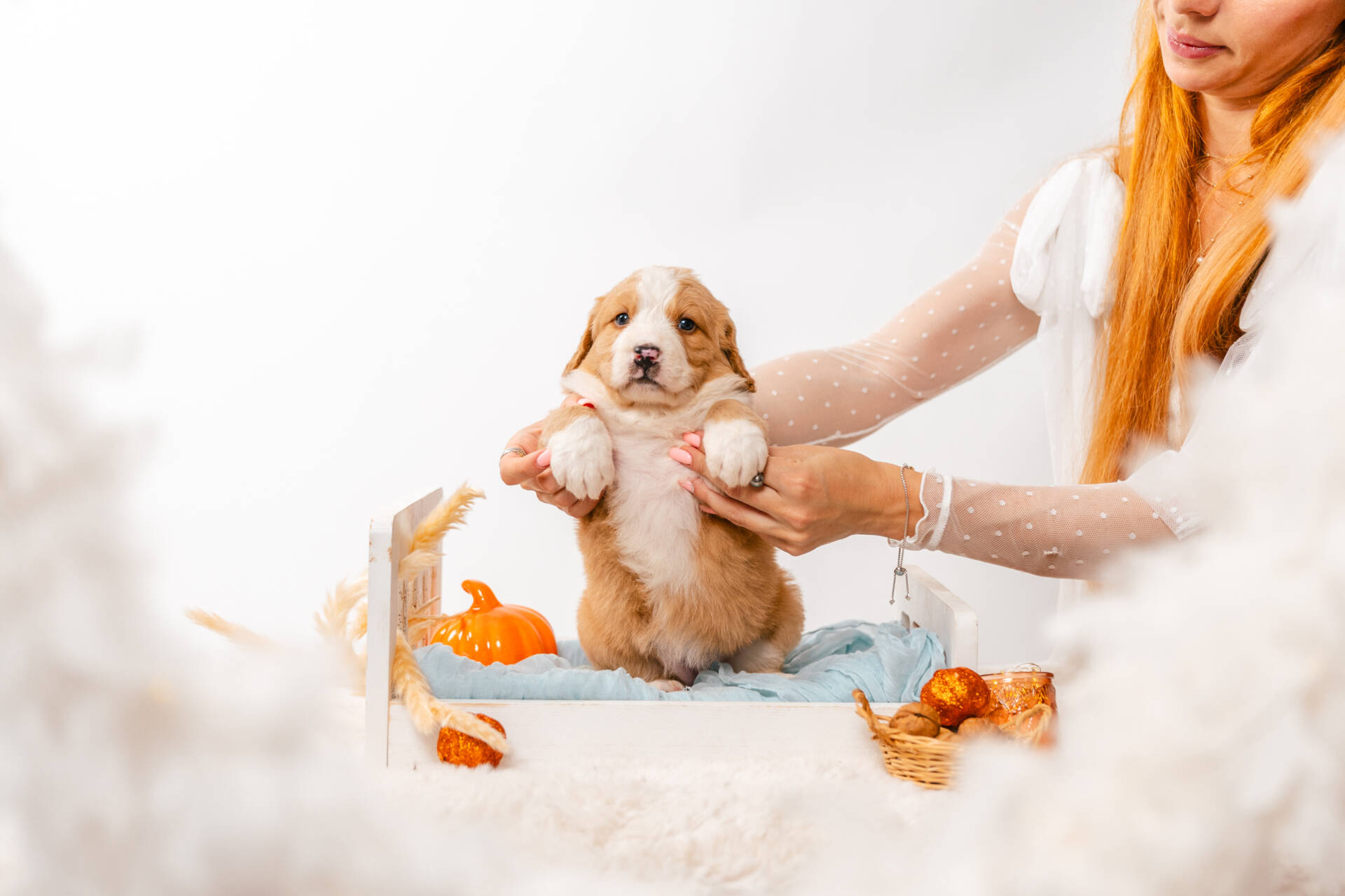 Blossom - Mini F2 Girl Unfurnished - Image 4