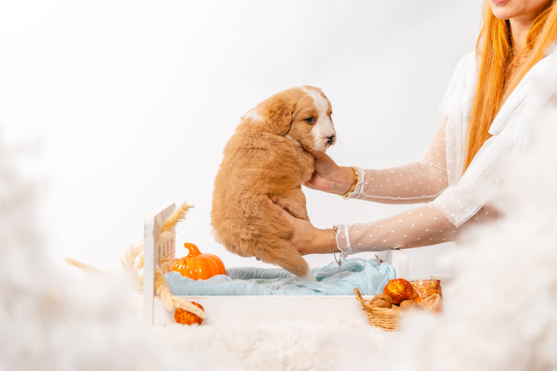 Blossom - Mini F2 Girl Unfurnished - Image 6