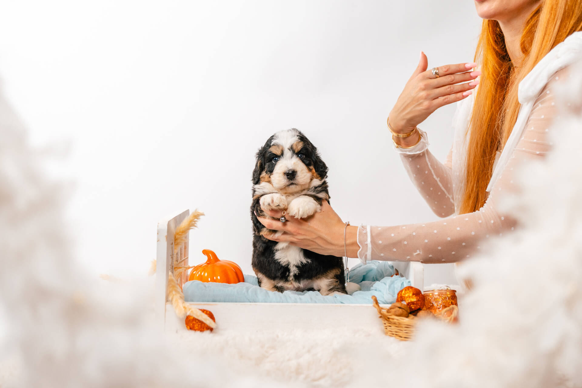 Bentley - Mini F2 Boy - Image 2