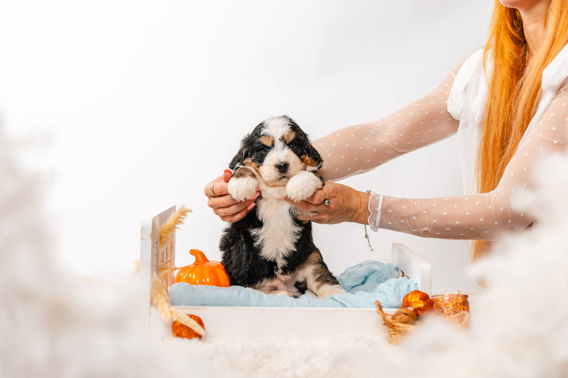 Bentley - Mini F2 Boy - Image 5