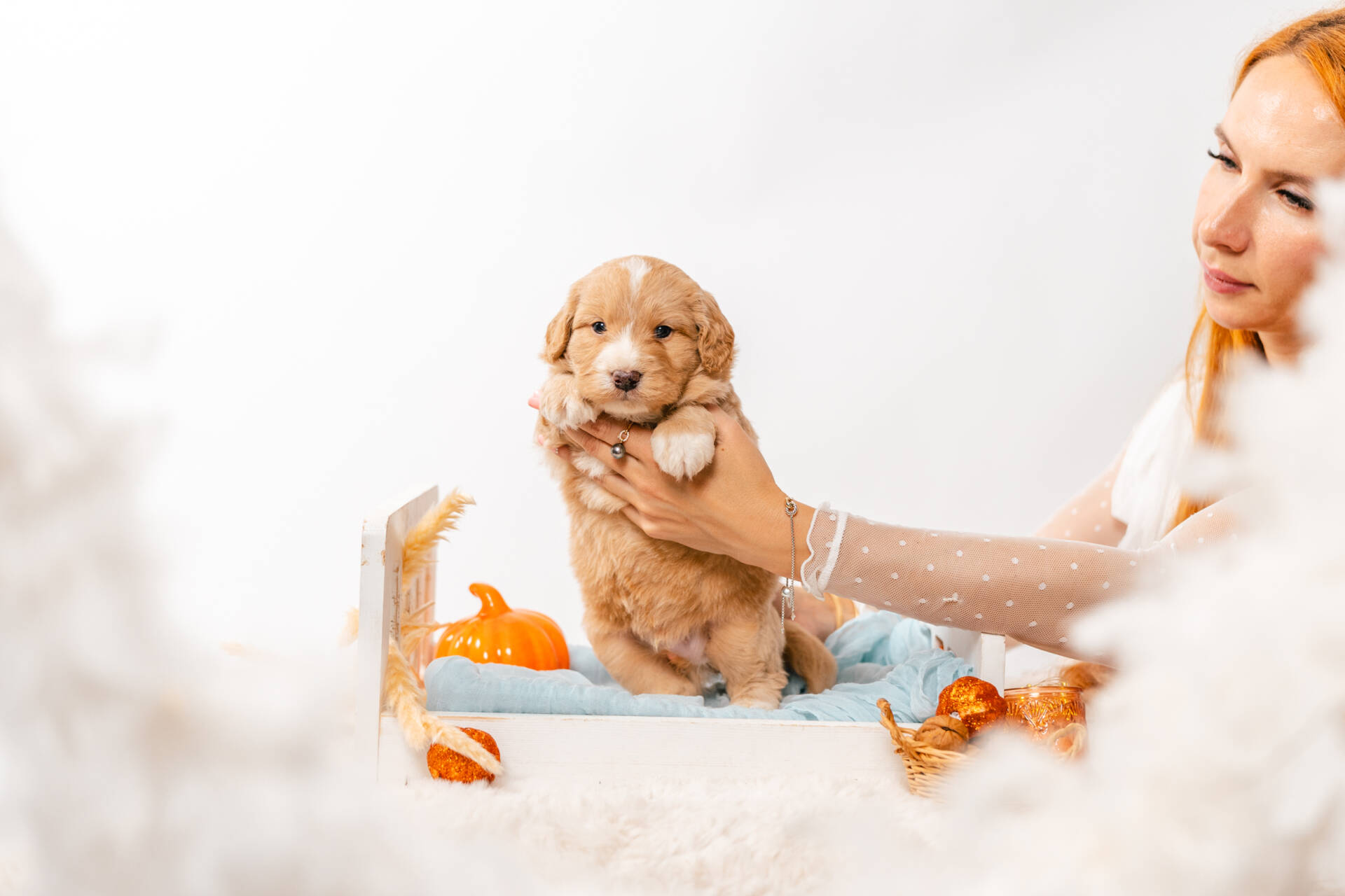 Bruno Bear - Mini F2 Boy - Image 2