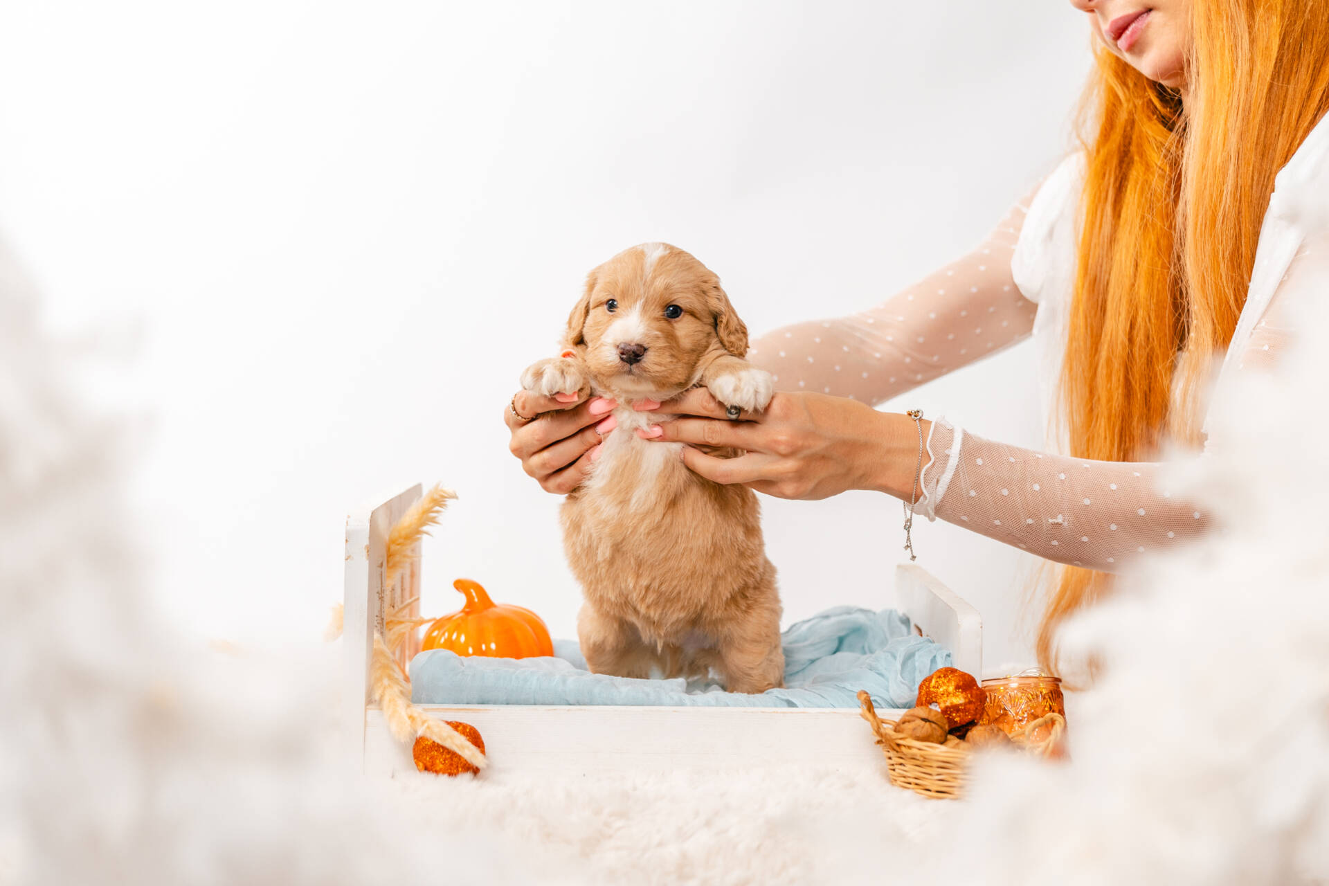 Bruno Bear - Mini F2 Boy - Image 4