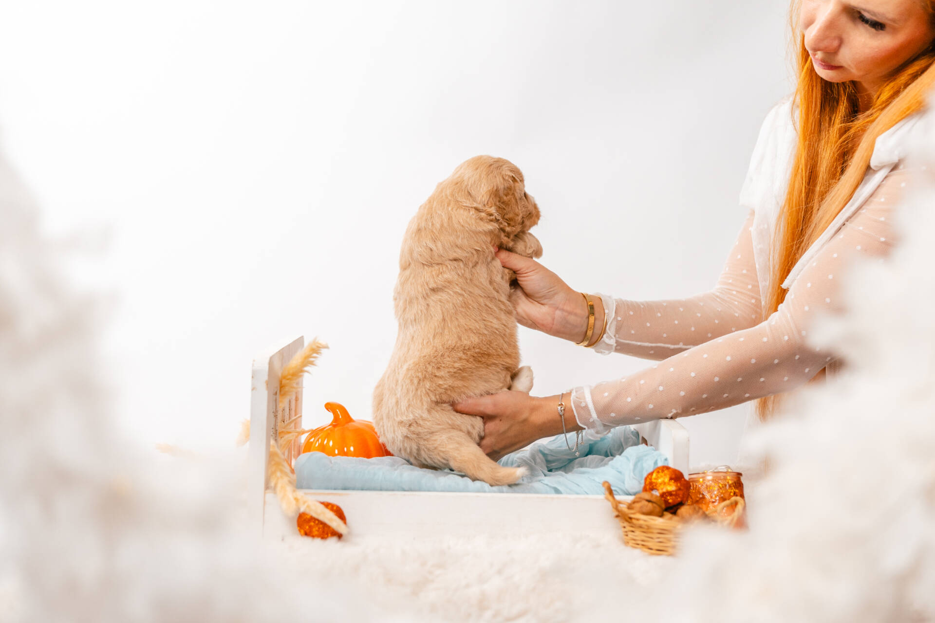 Bruno Bear - Mini F2 Boy - Image 6