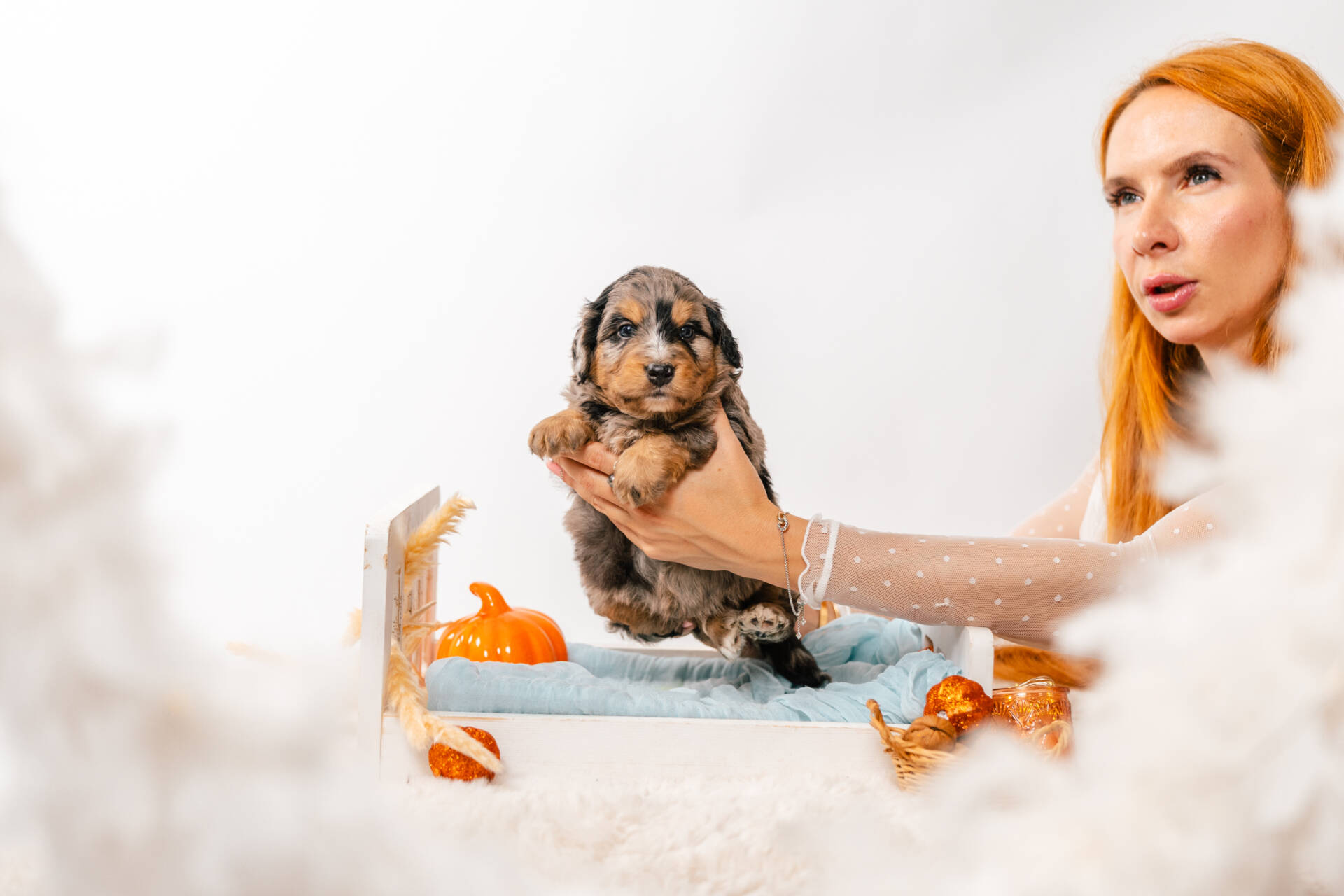 Blue - Mini F2 Boy - Image 2