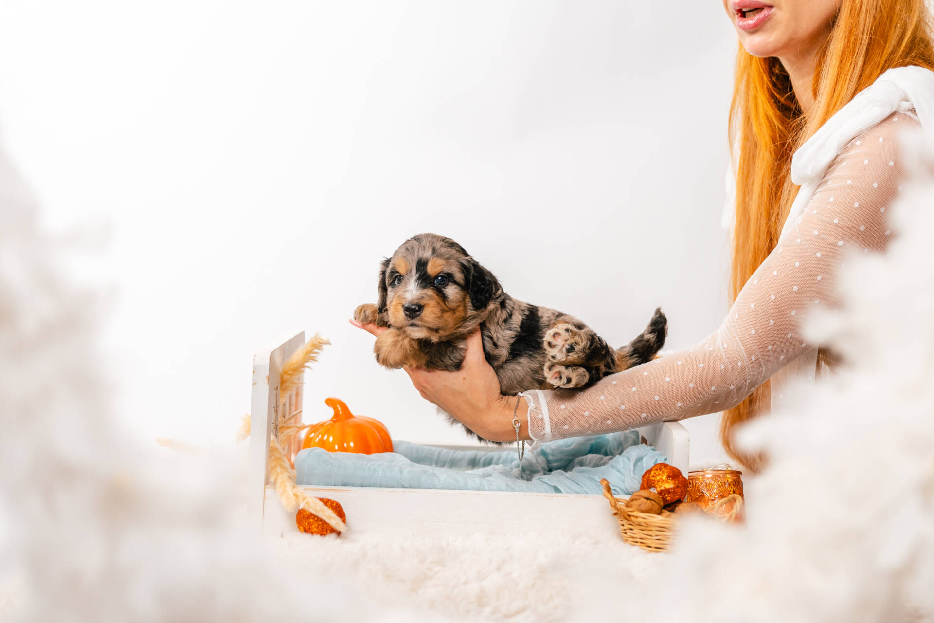 Blue - Mini F2 Boy - Image 3