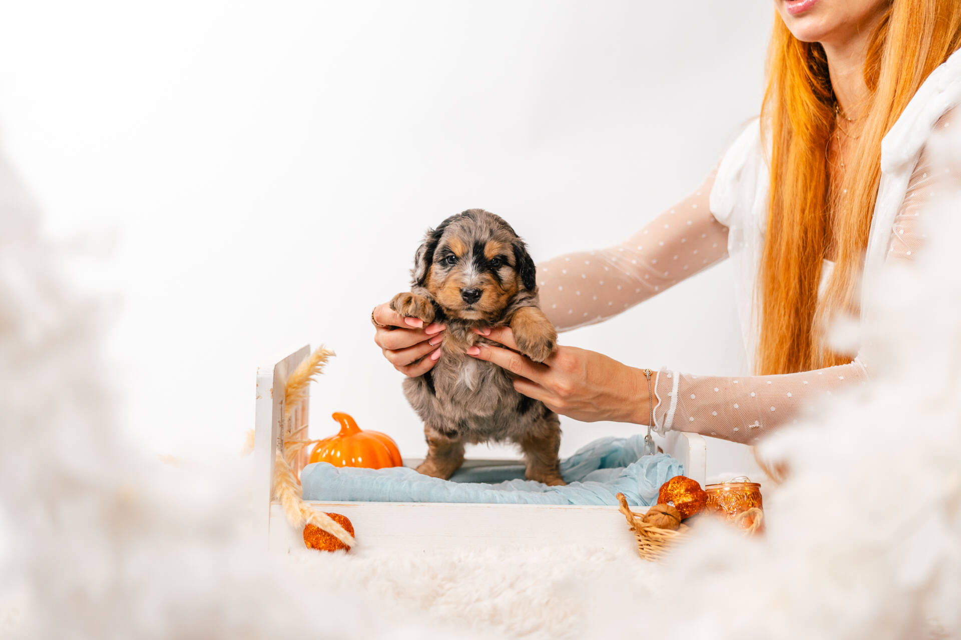 Blue - Mini F2 Boy - Image 4