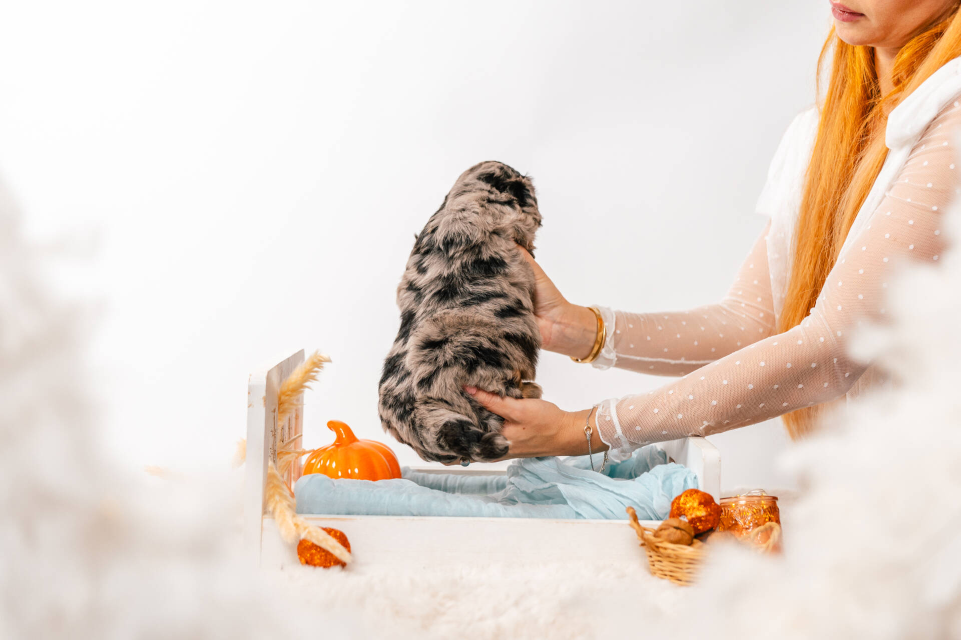 Blue - Mini F2 Boy - Image 6