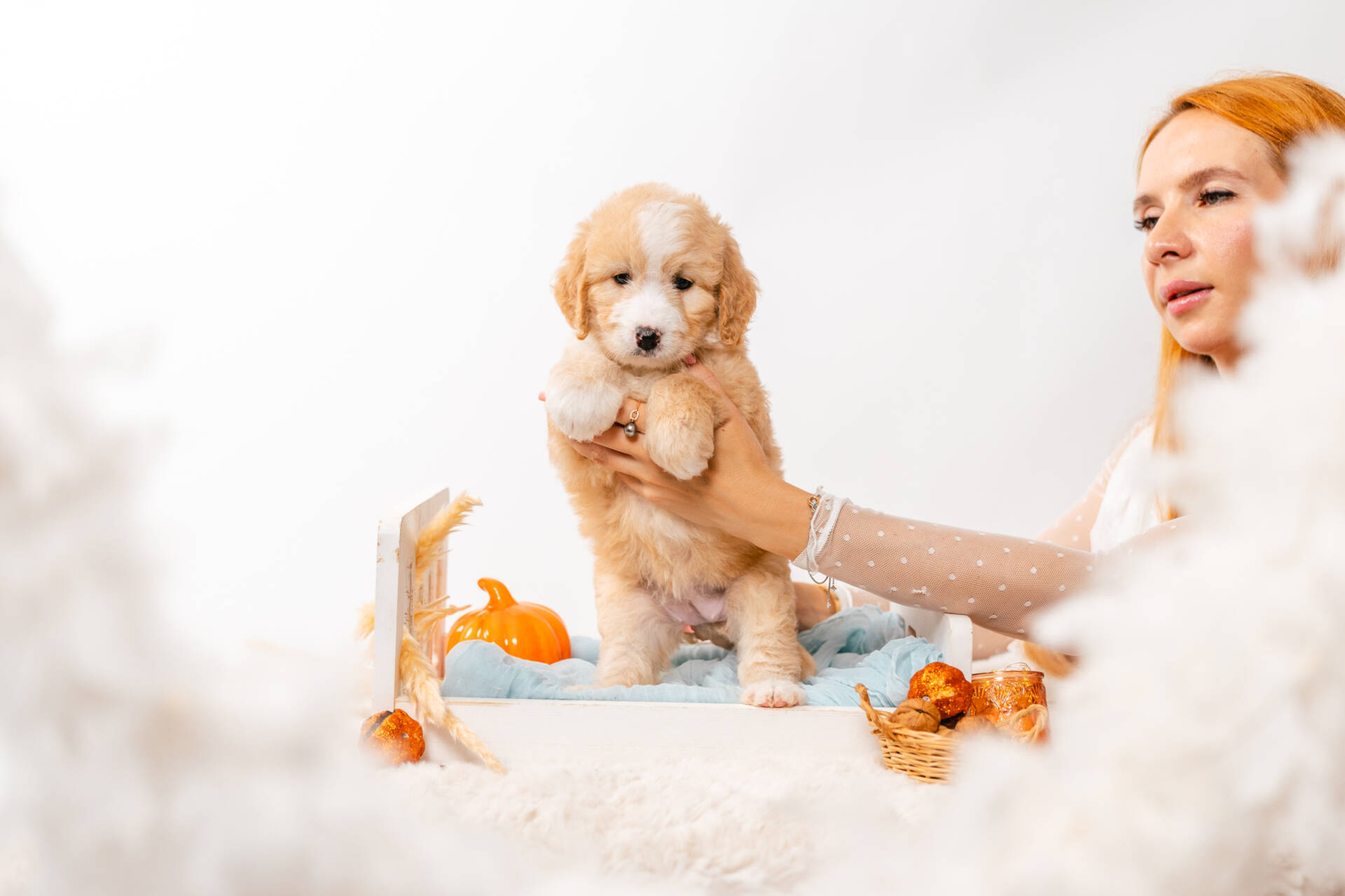 Flora - Mini F2 Girl - Image 2