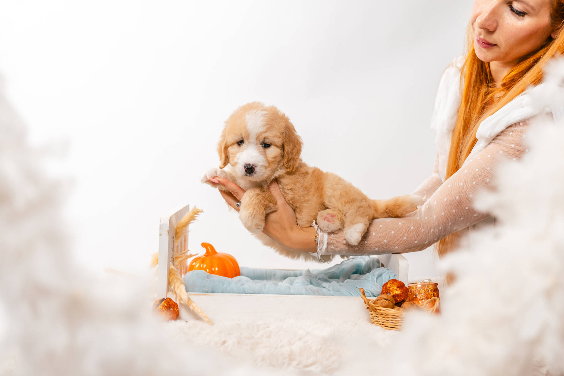 Flora - Mini F2 Girl - Image 3