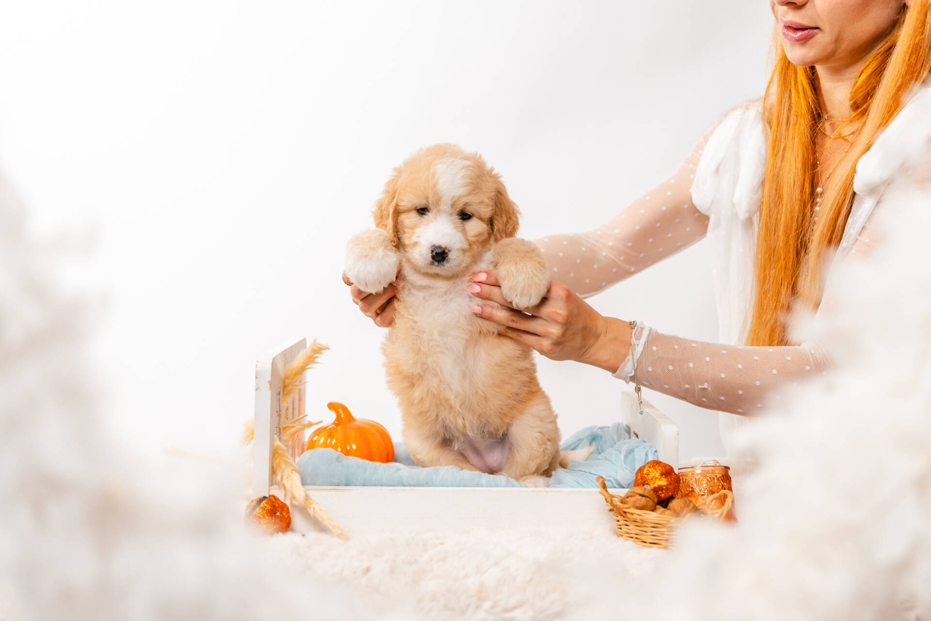 Flora - Mini F2 Girl - Image 4