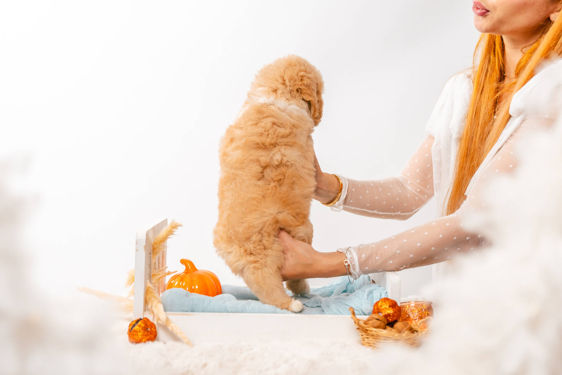 Flora - Mini F2 Girl - Image 6