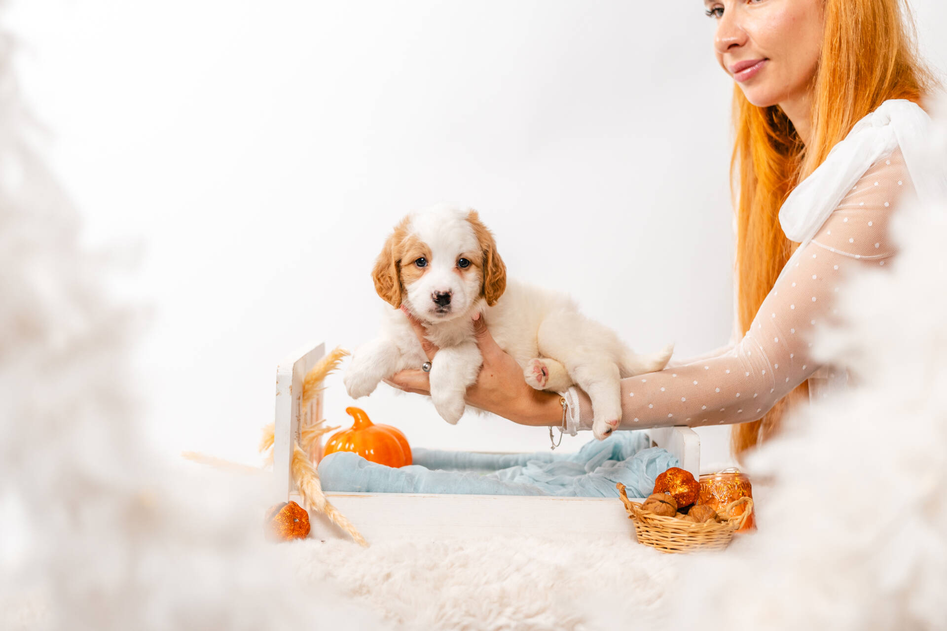 Fairy - Mini F2 Girl Unfurnished - Image 3