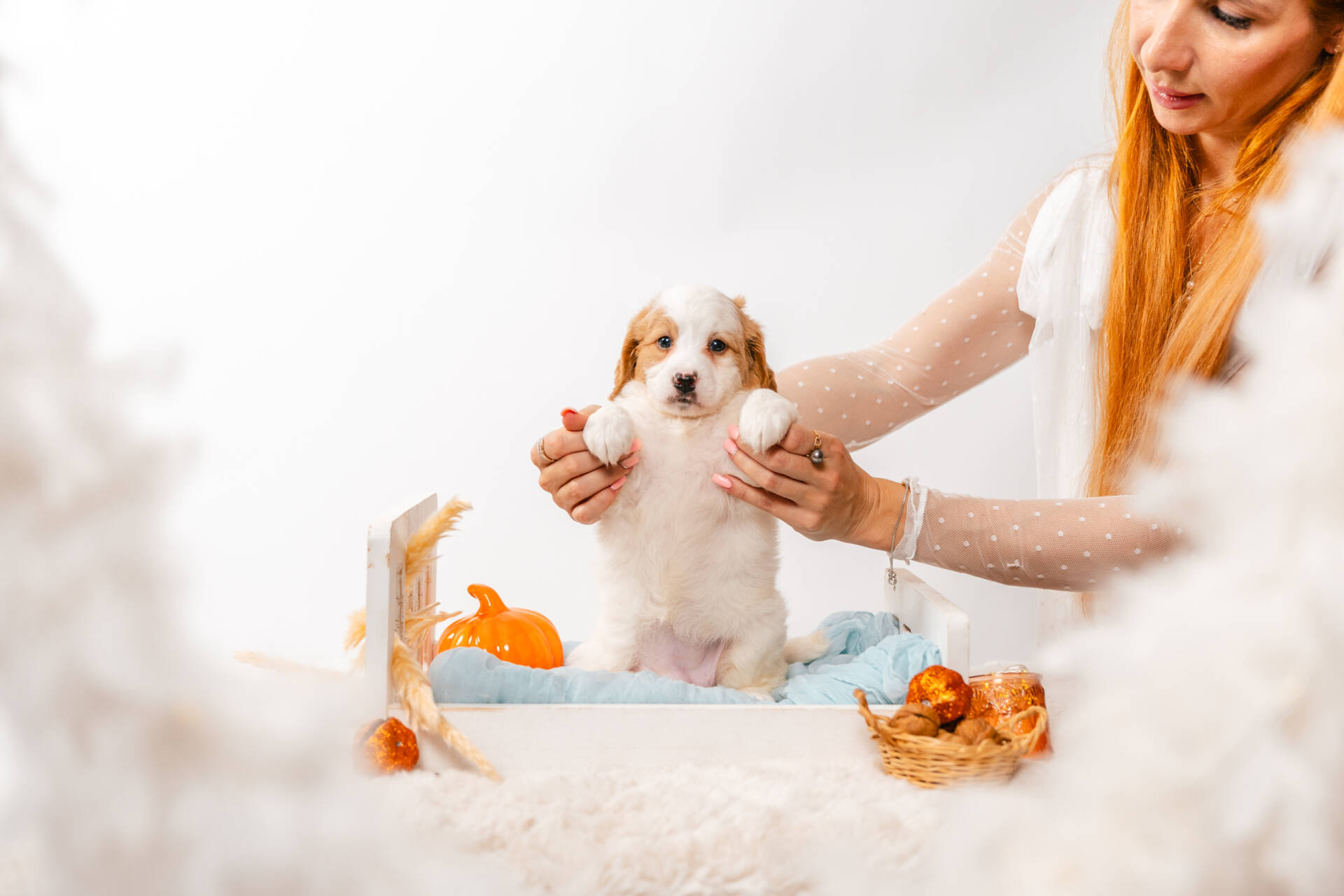 Fairy - Mini F2 Girl Unfurnished - Image 4