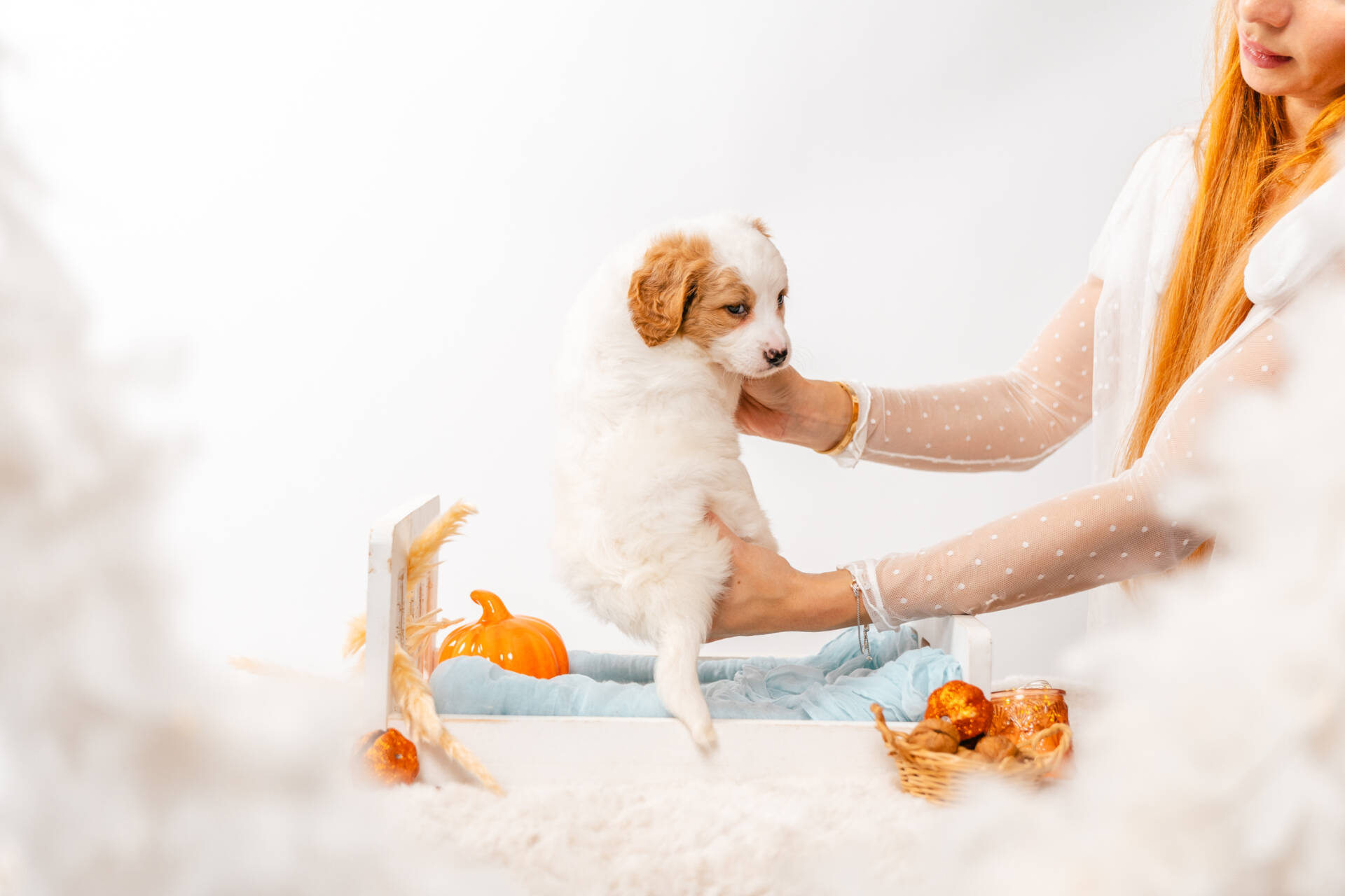 Fairy - Mini F2 Girl Unfurnished - Image 6