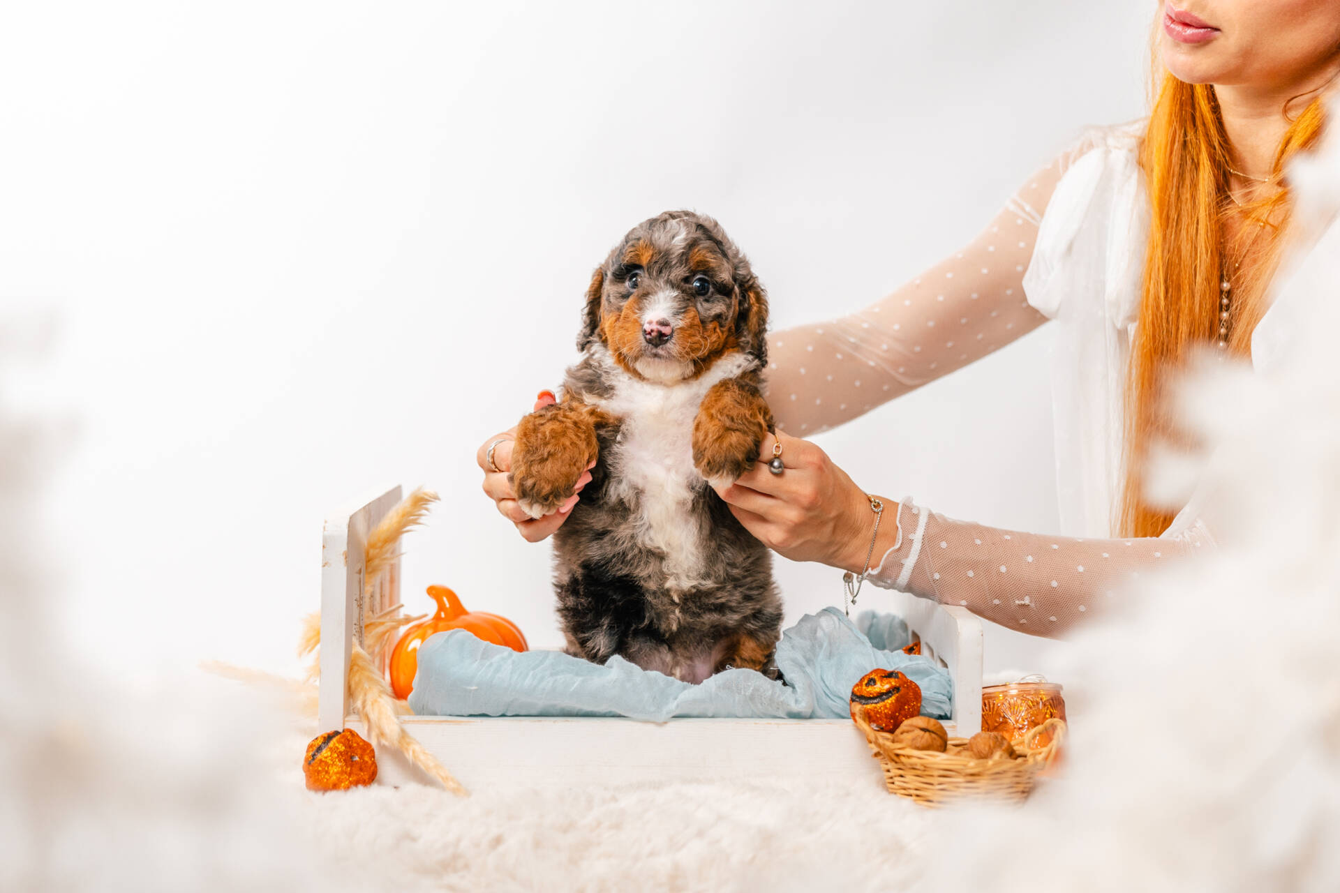 Finnegan - Mini F2 Boy - Image 2