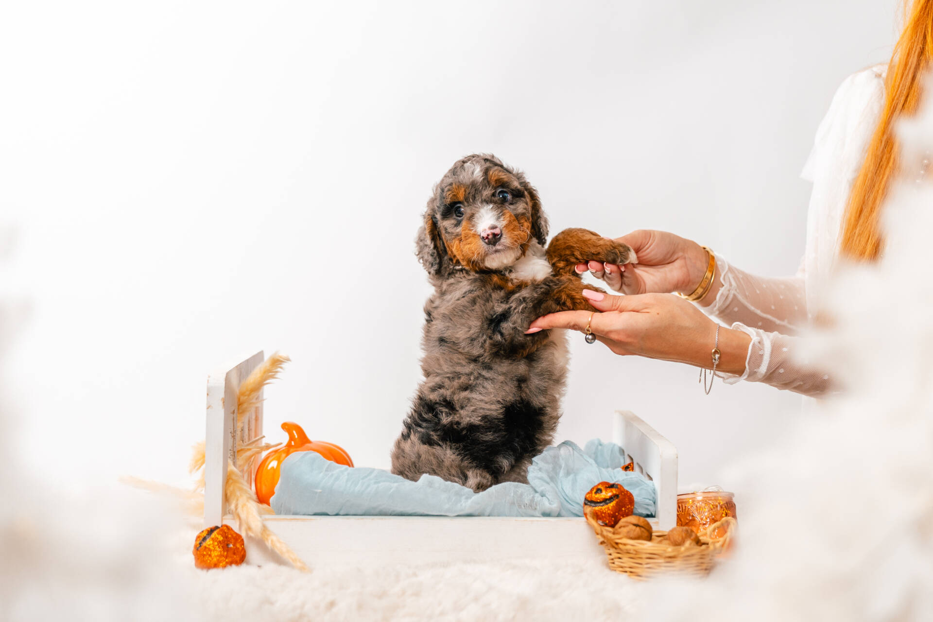 Finnegan - Mini F2 Boy - Image 4