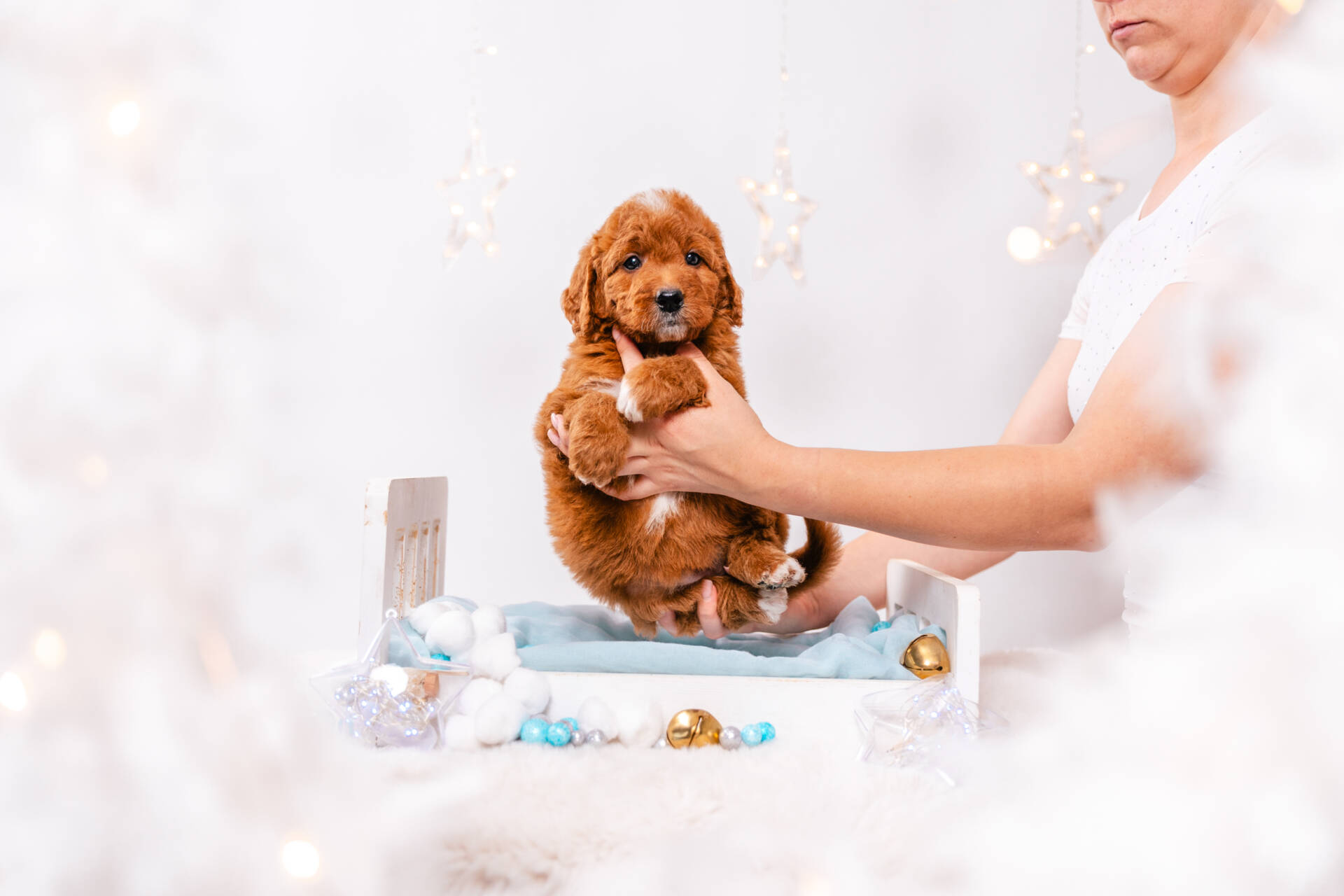 Amelie - Mini F1b Girl - Image 2