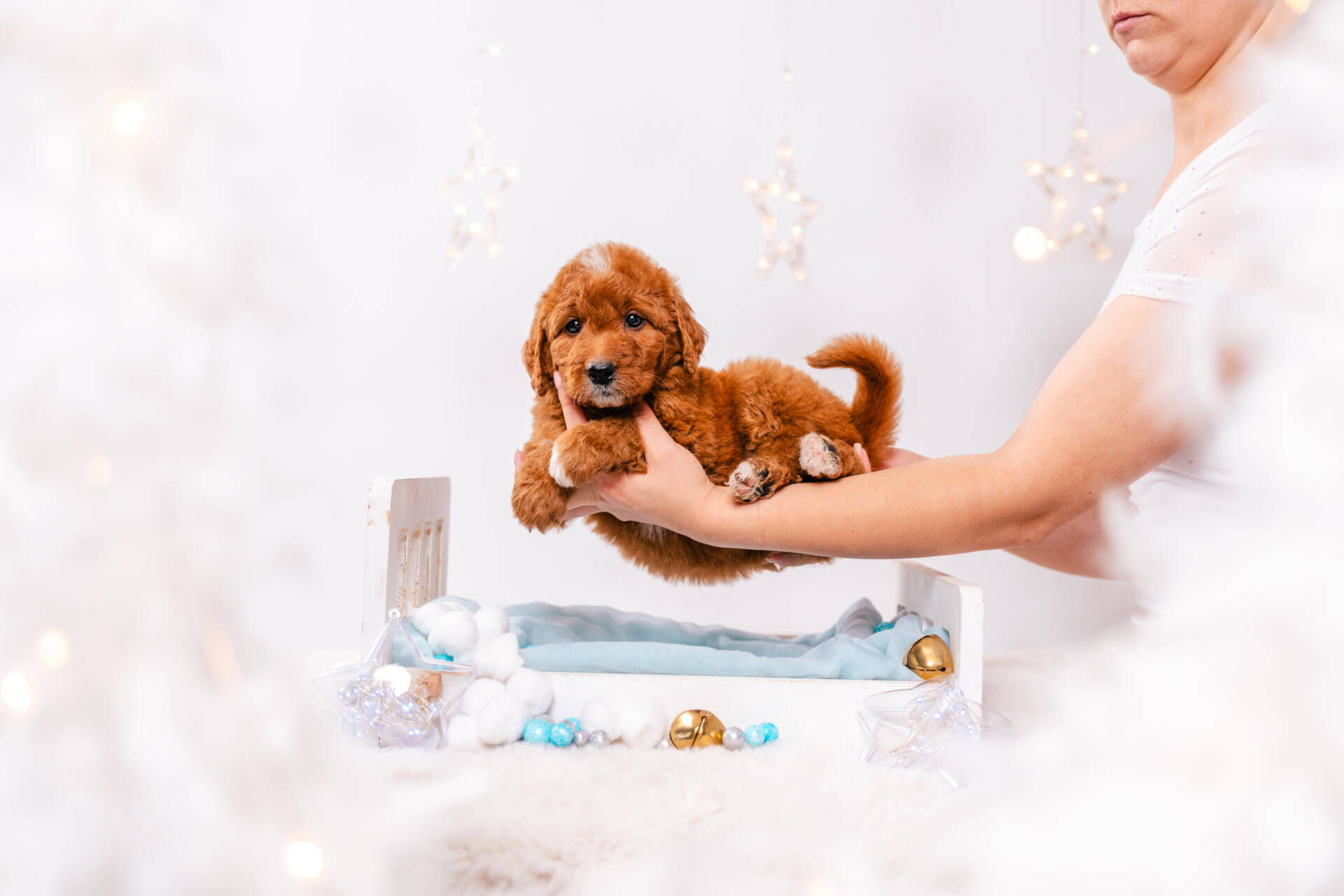 Amelie - Mini F1b Girl - Image 3