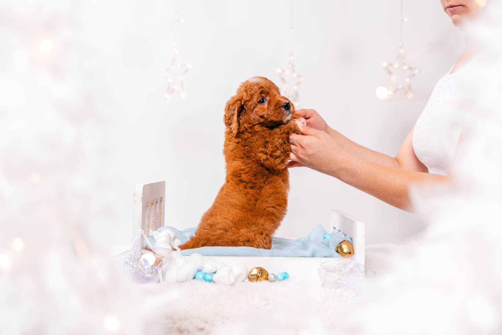 Amelie - Mini F1b Girl - Image 4