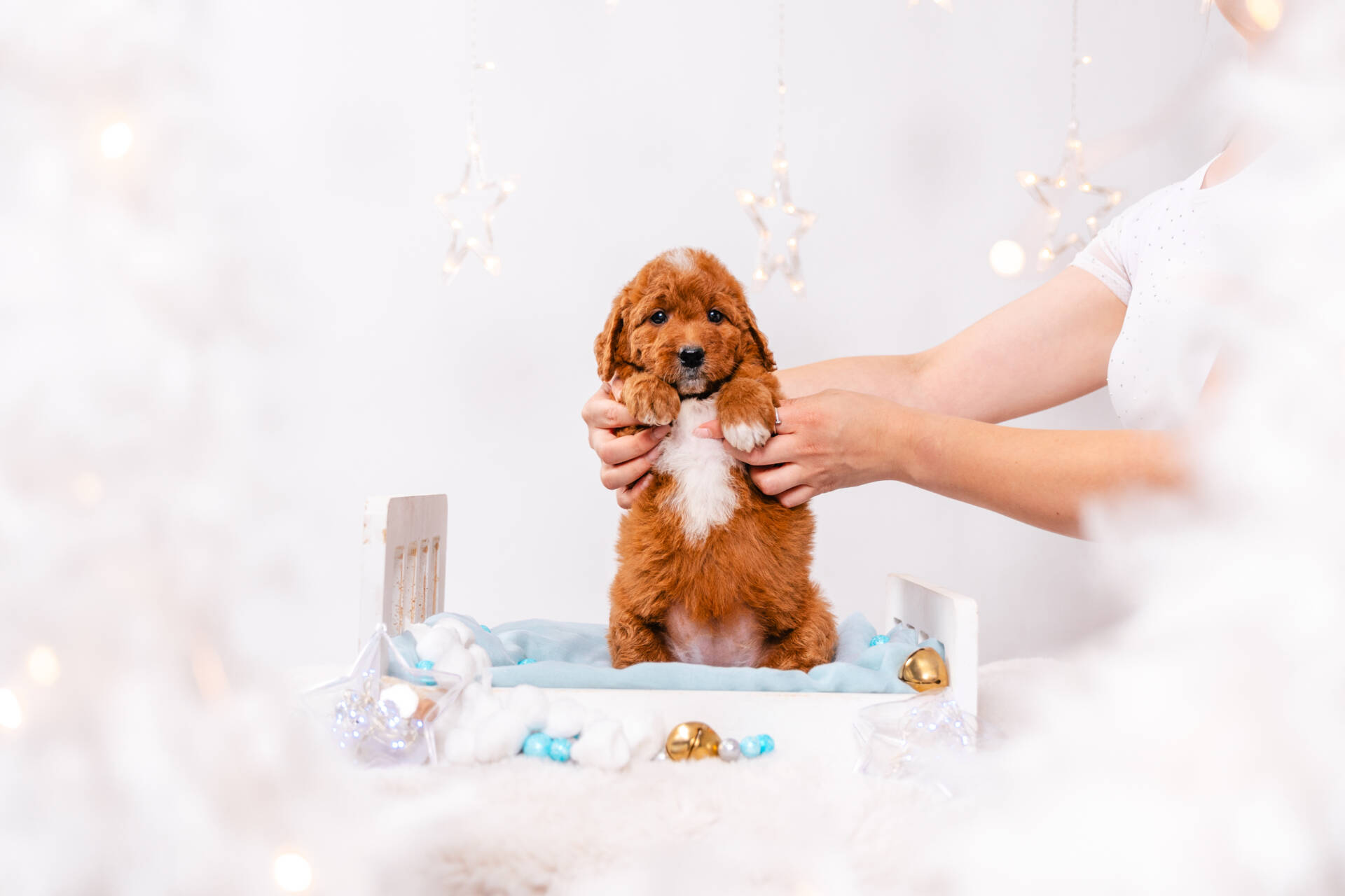 Amelie - Mini F1b Girl - Image 5