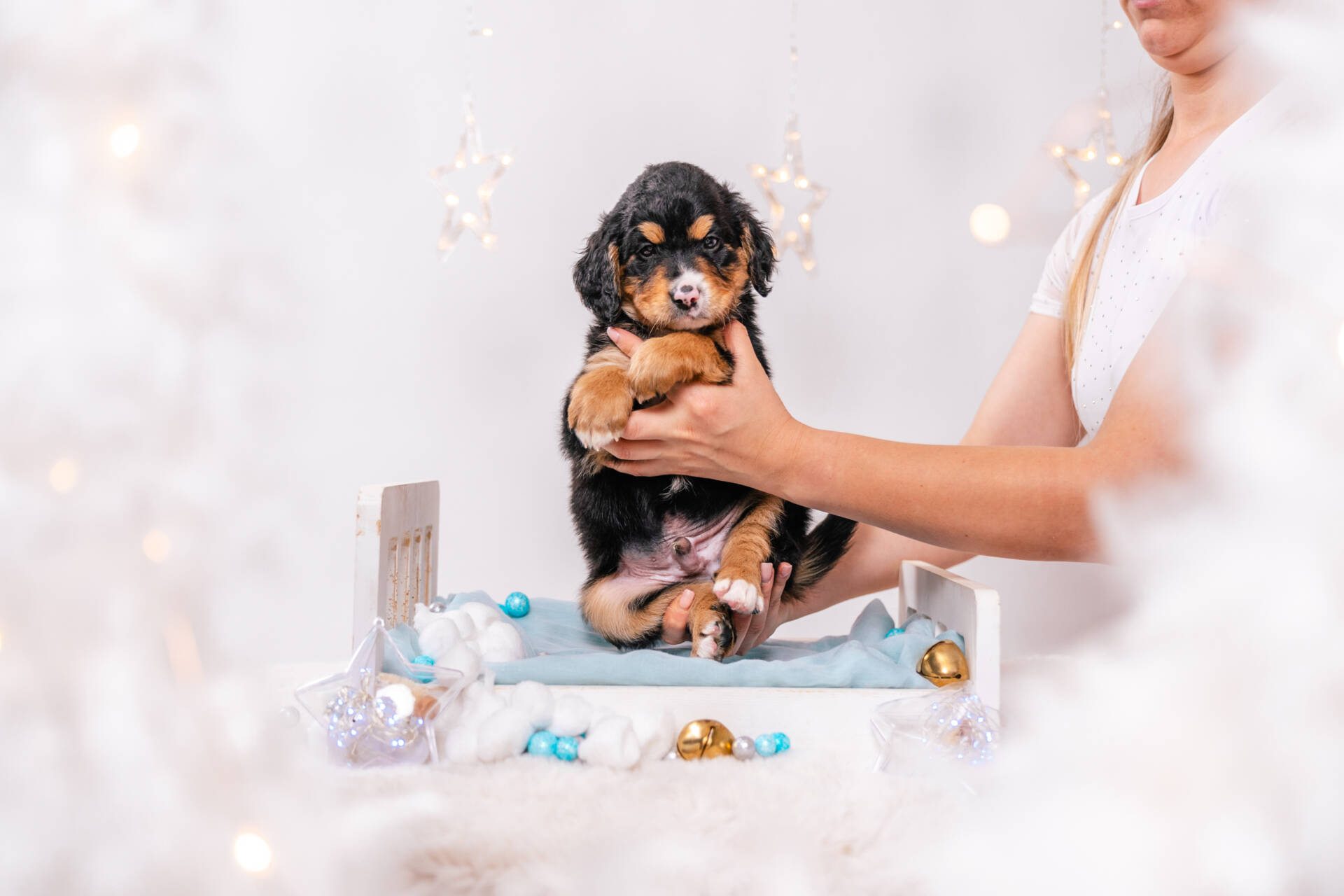 Alfie - Mini F1b Boy Unfurnished - Image 2