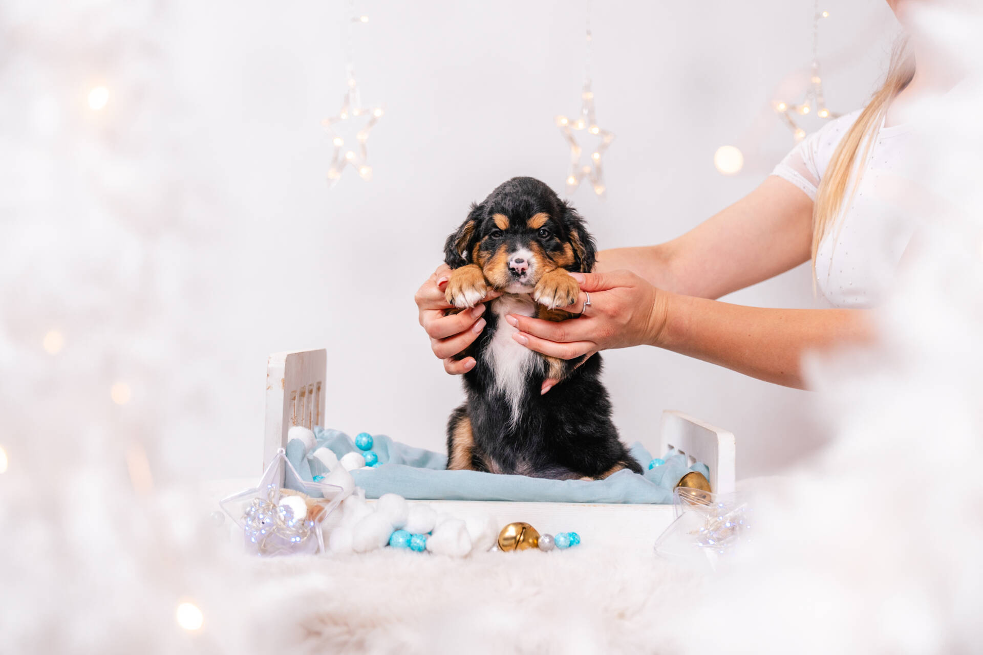 Alfie - Mini F1b Boy Unfurnished - Image 5