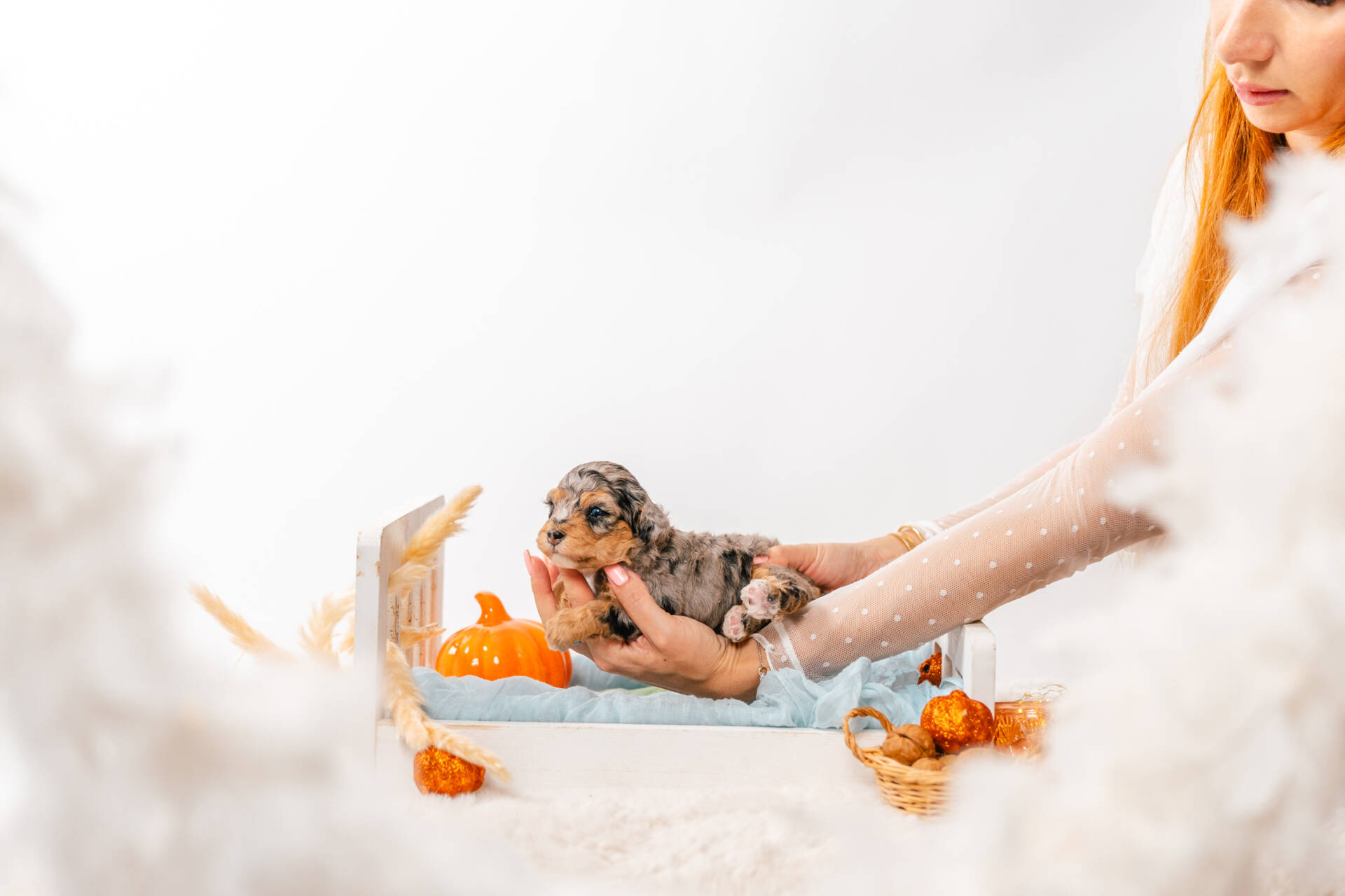 Tiffany - Micro Mini Girl - Image 3