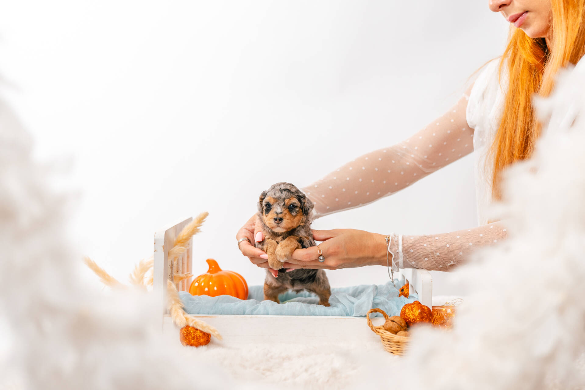 Tiffany - Micro Mini Girl - Image 4