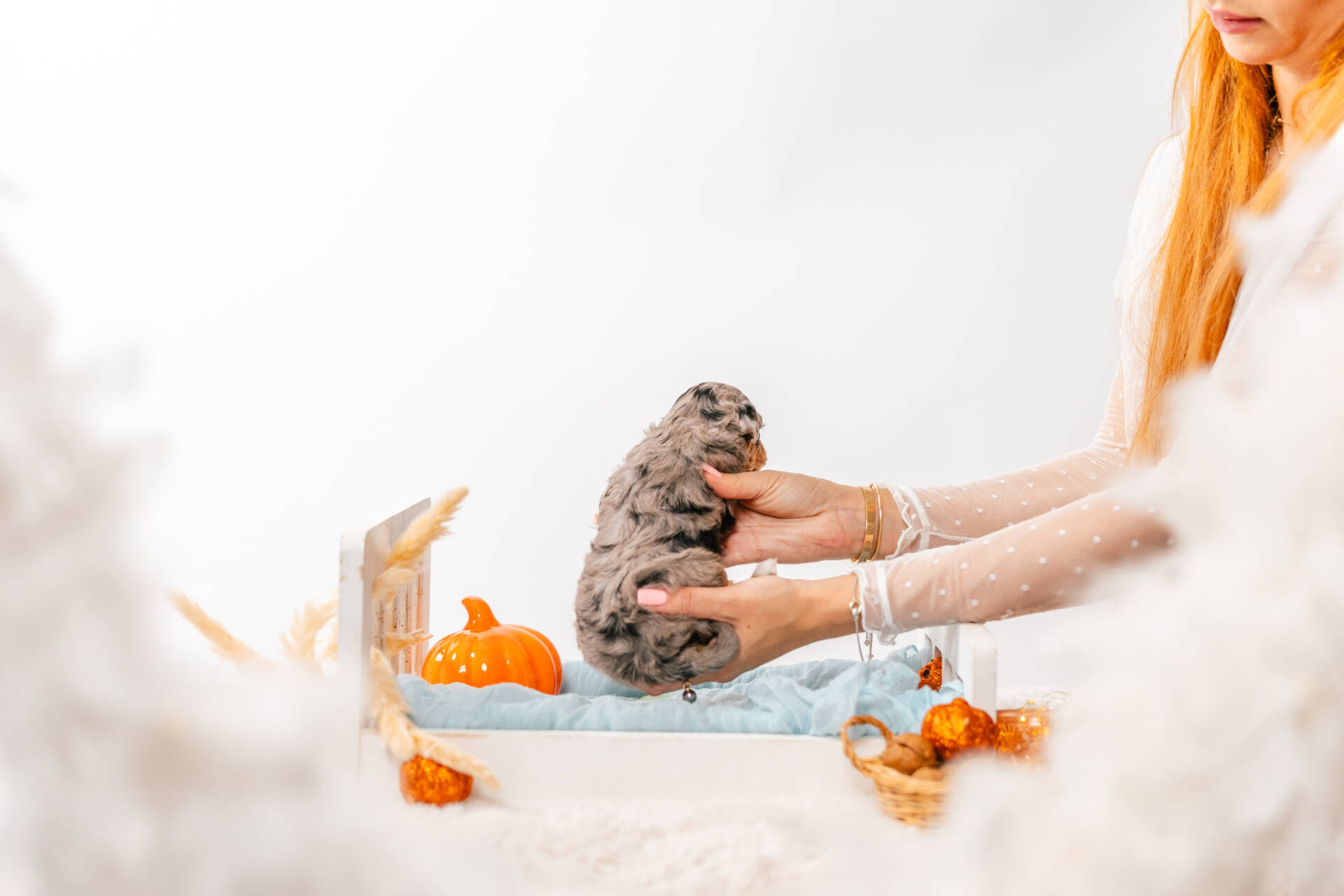 Tiffany - Micro Mini Girl - Image 6