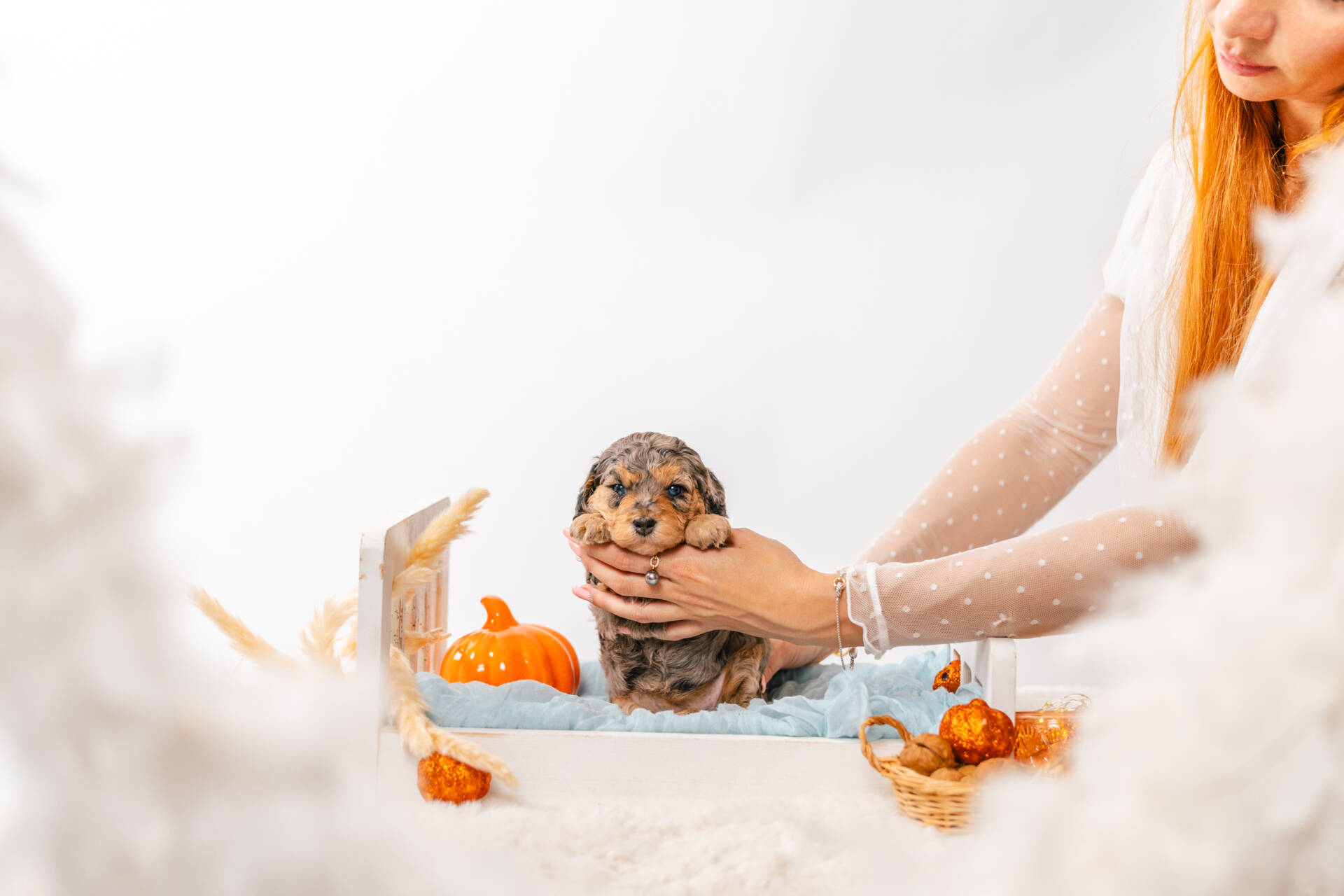 Tinkerbell - Micro Mini Girl - Image 2