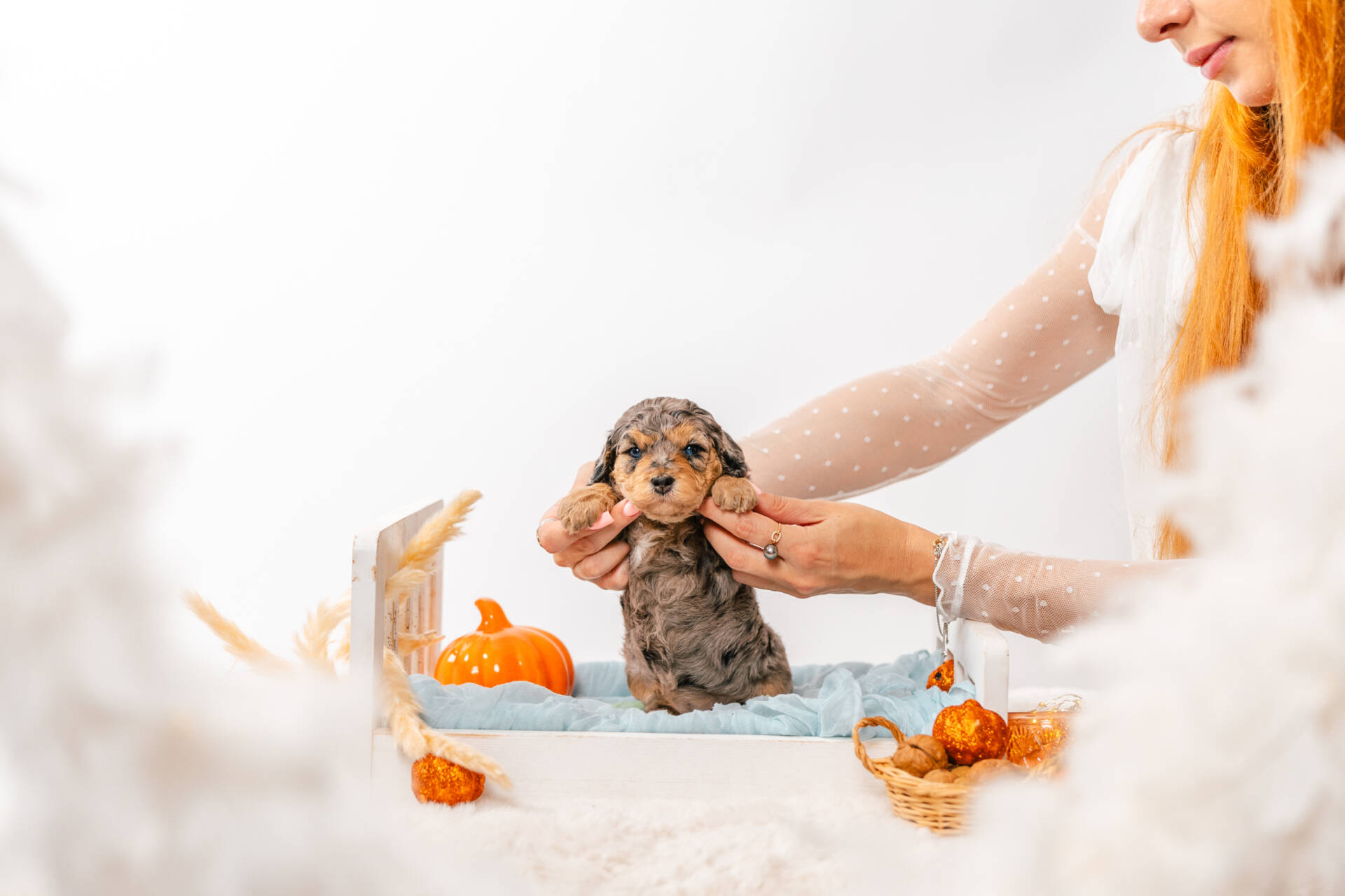 Tinkerbell - Micro Mini Girl - Image 3