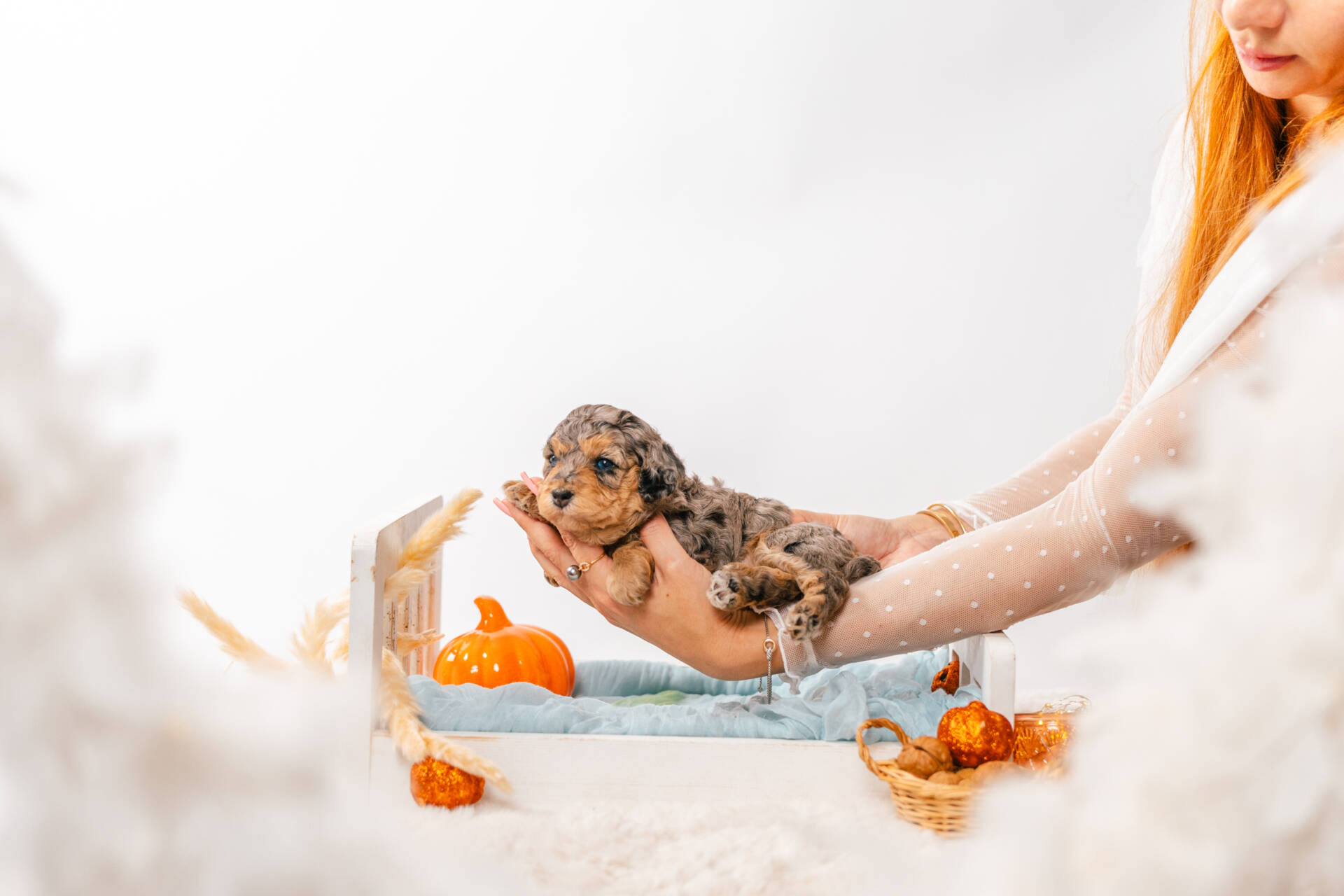 Tinkerbell - Micro Mini Girl - Image 5