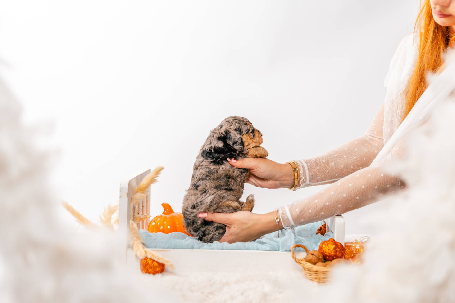 Tinkerbell - Micro Mini Girl - Image 6