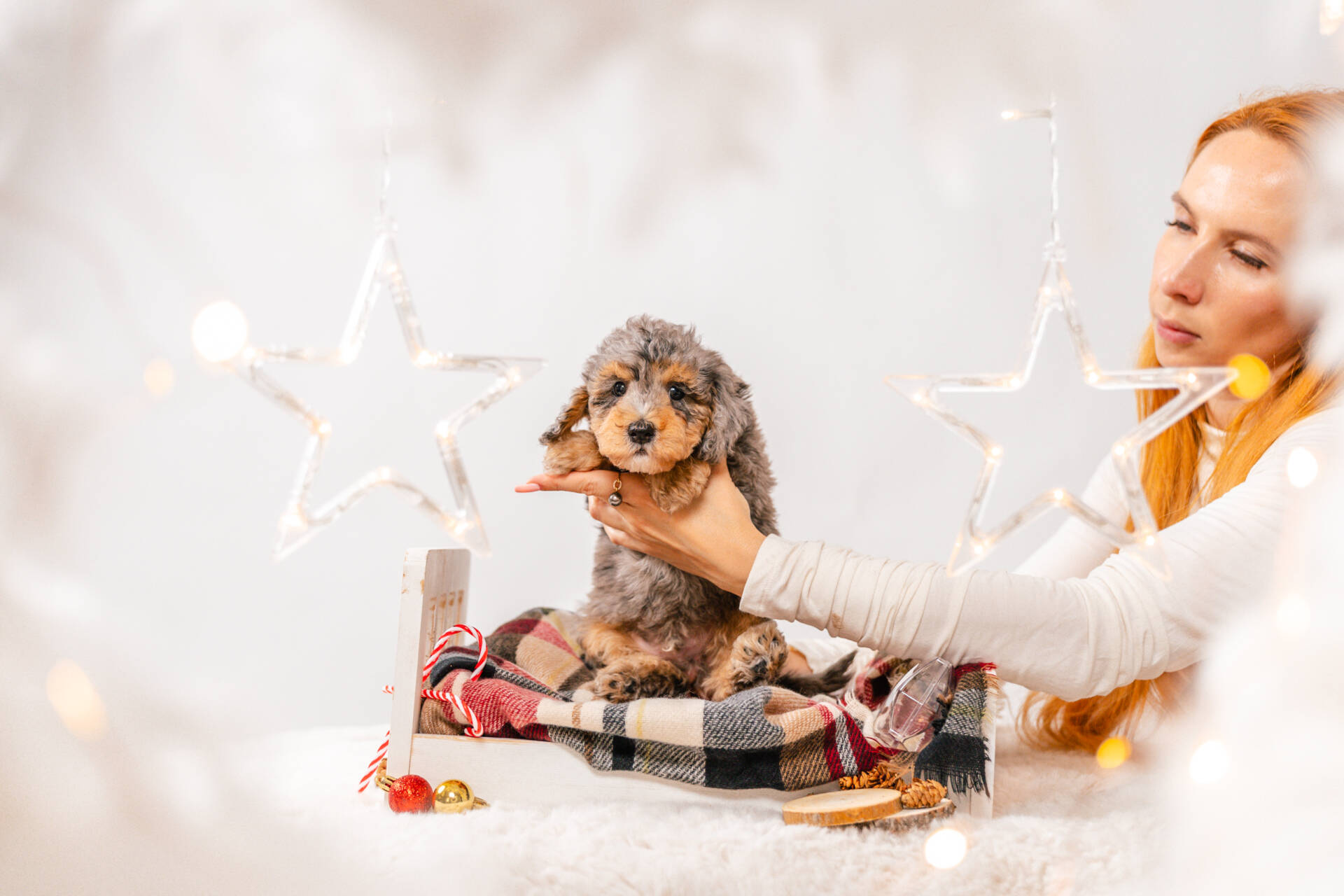 4litter 5b8555теди 1