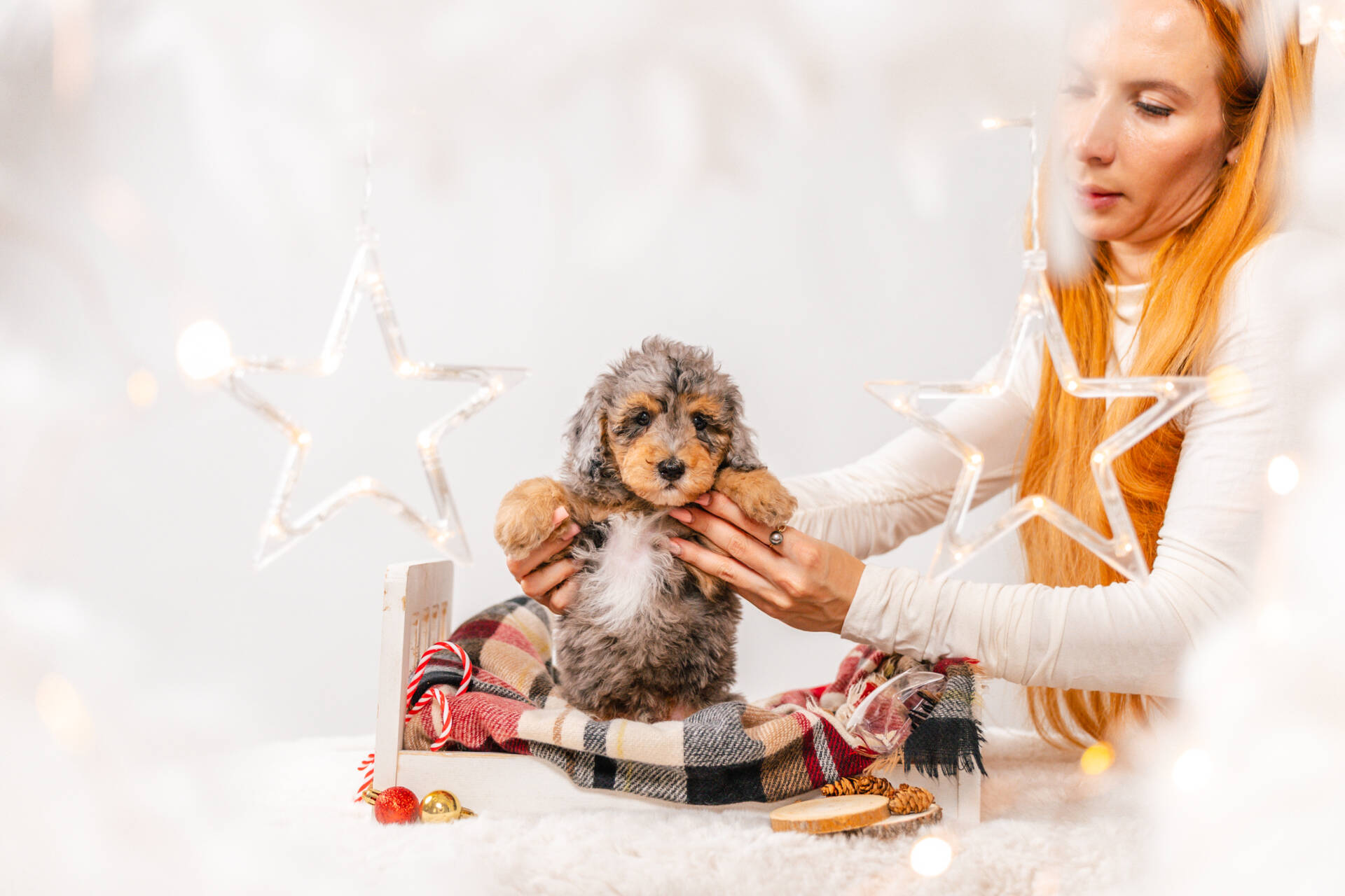 4litter 5b8555теди 3