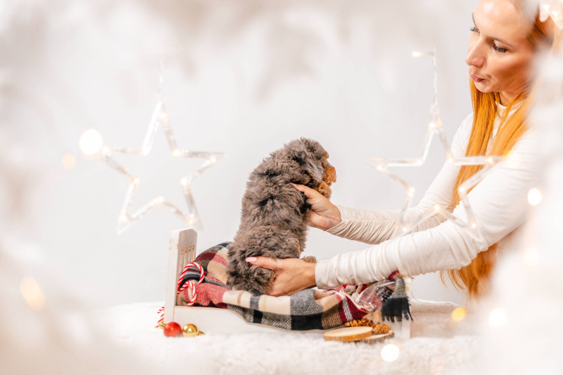 4litter 5b8555теди 5