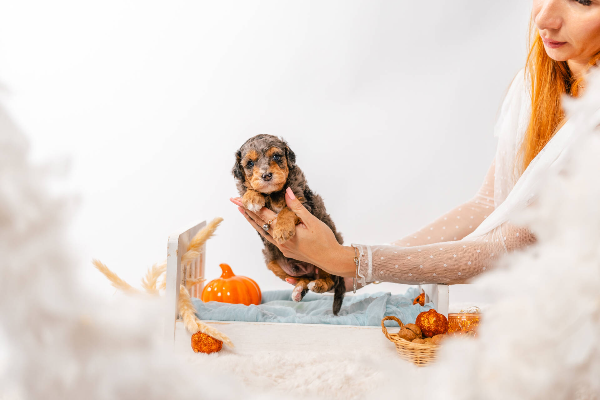 Twix - Micro Mini Boy - Image 2