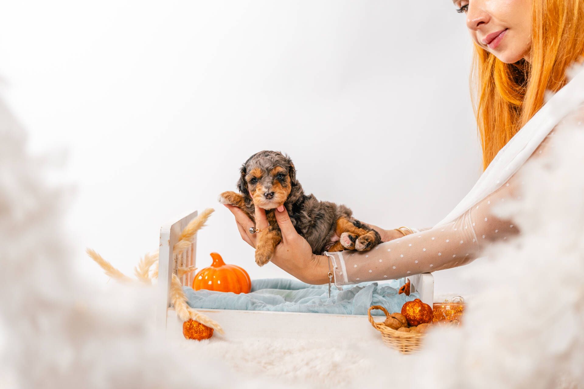 Twix - Micro Mini Boy - Image 3