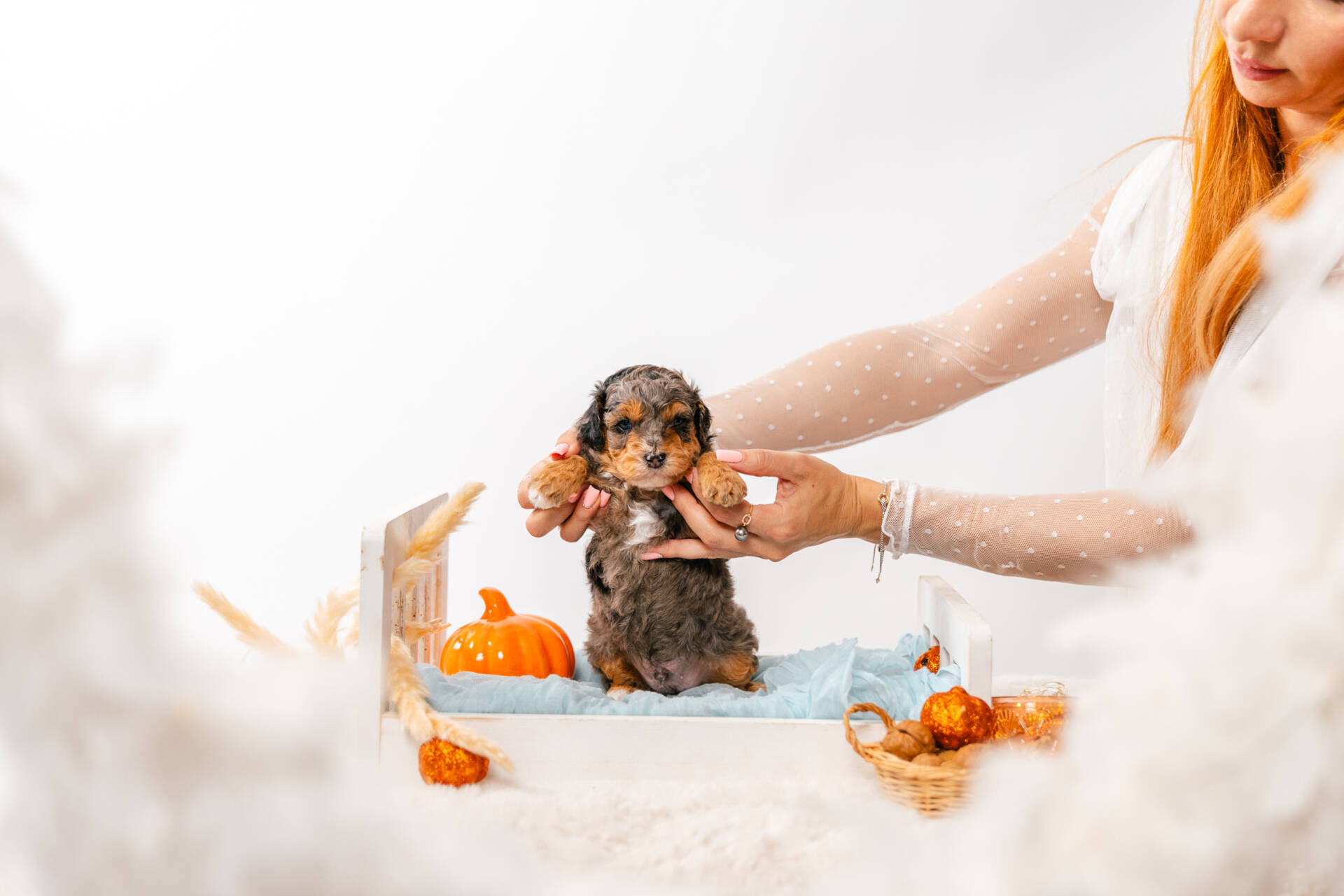 Twix - Micro Mini Boy - Image 4