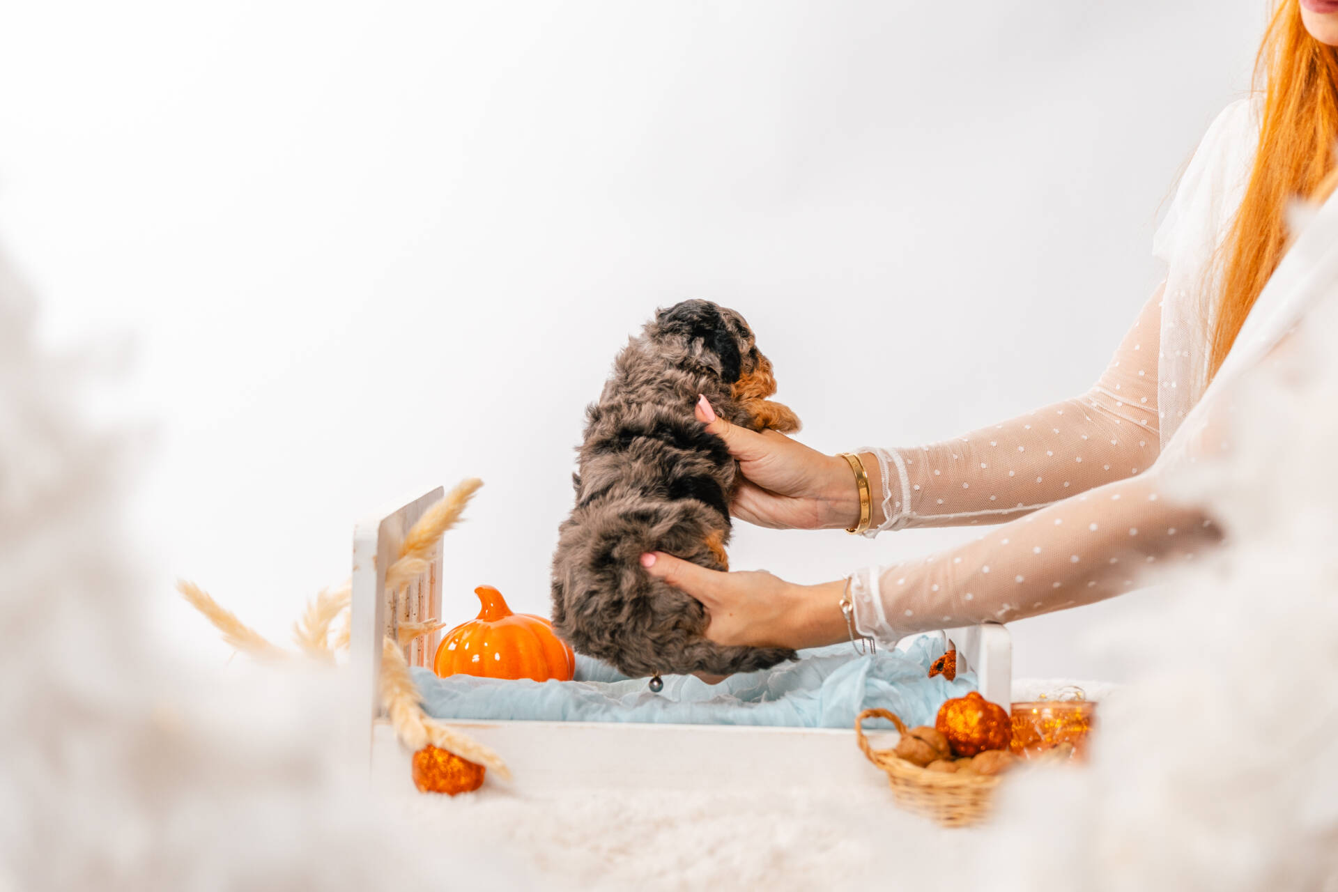 Twix - Micro Mini Boy - Image 6