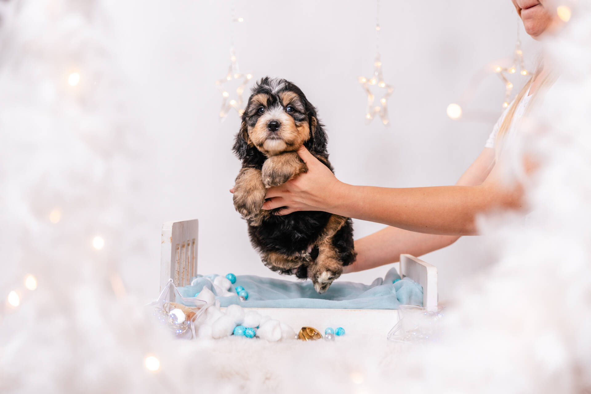 Duke - Mini F2 Boy - Image 2