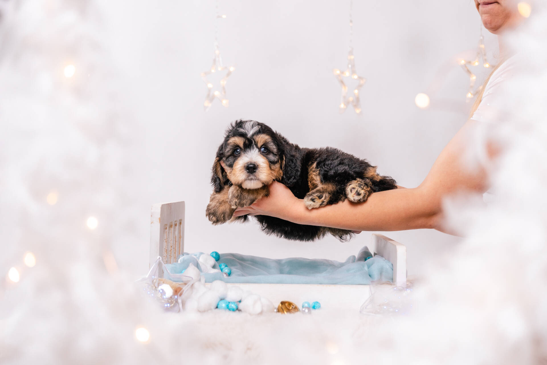 Duke - Mini F2 Boy - Image 3