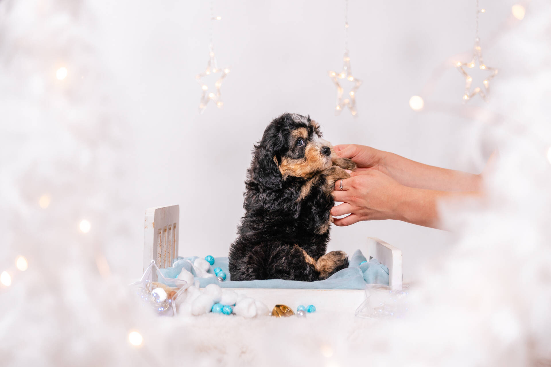 Duke - Mini F2 Boy - Image 4