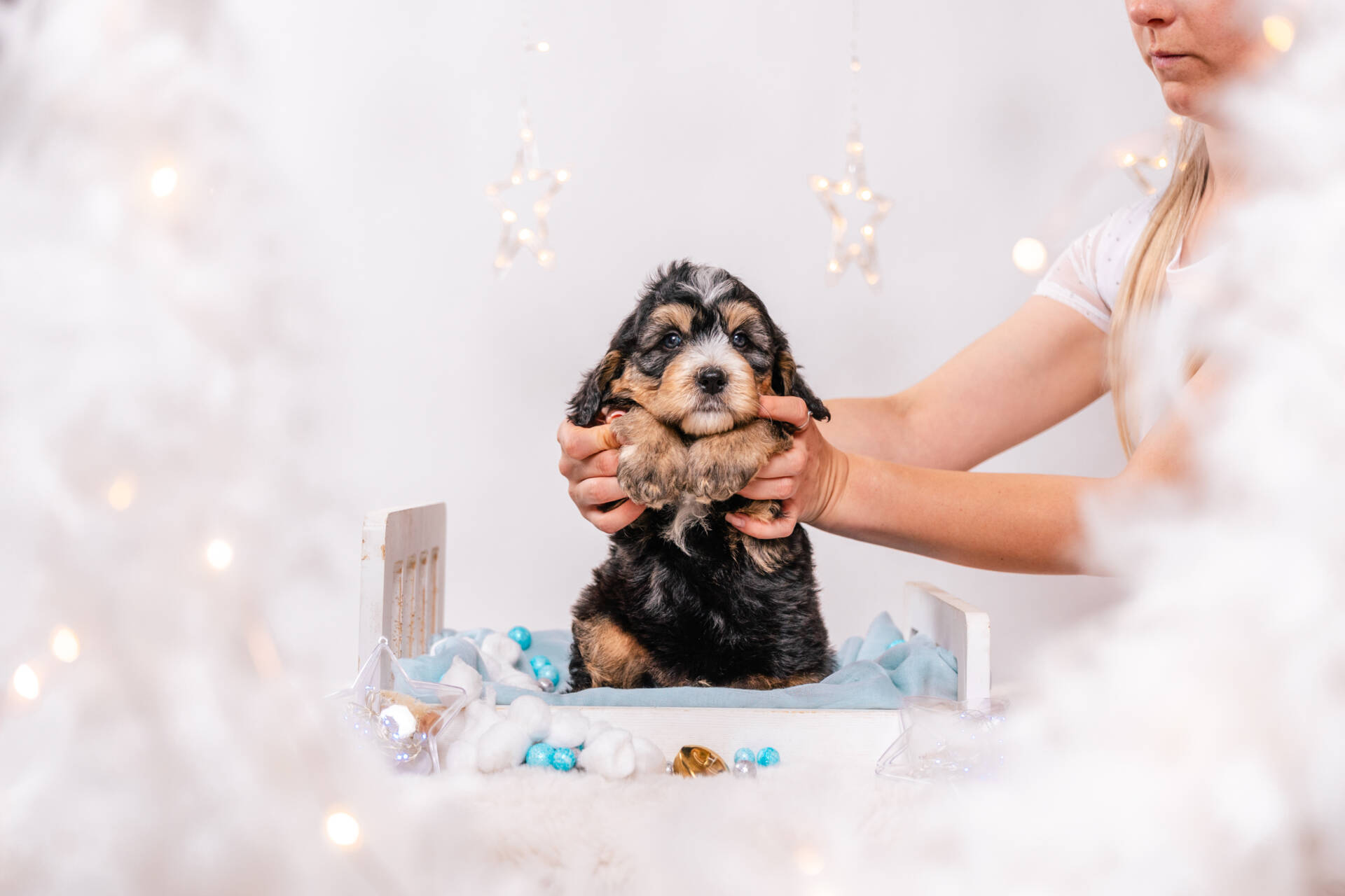 Duke - Mini F2 Boy - Image 5