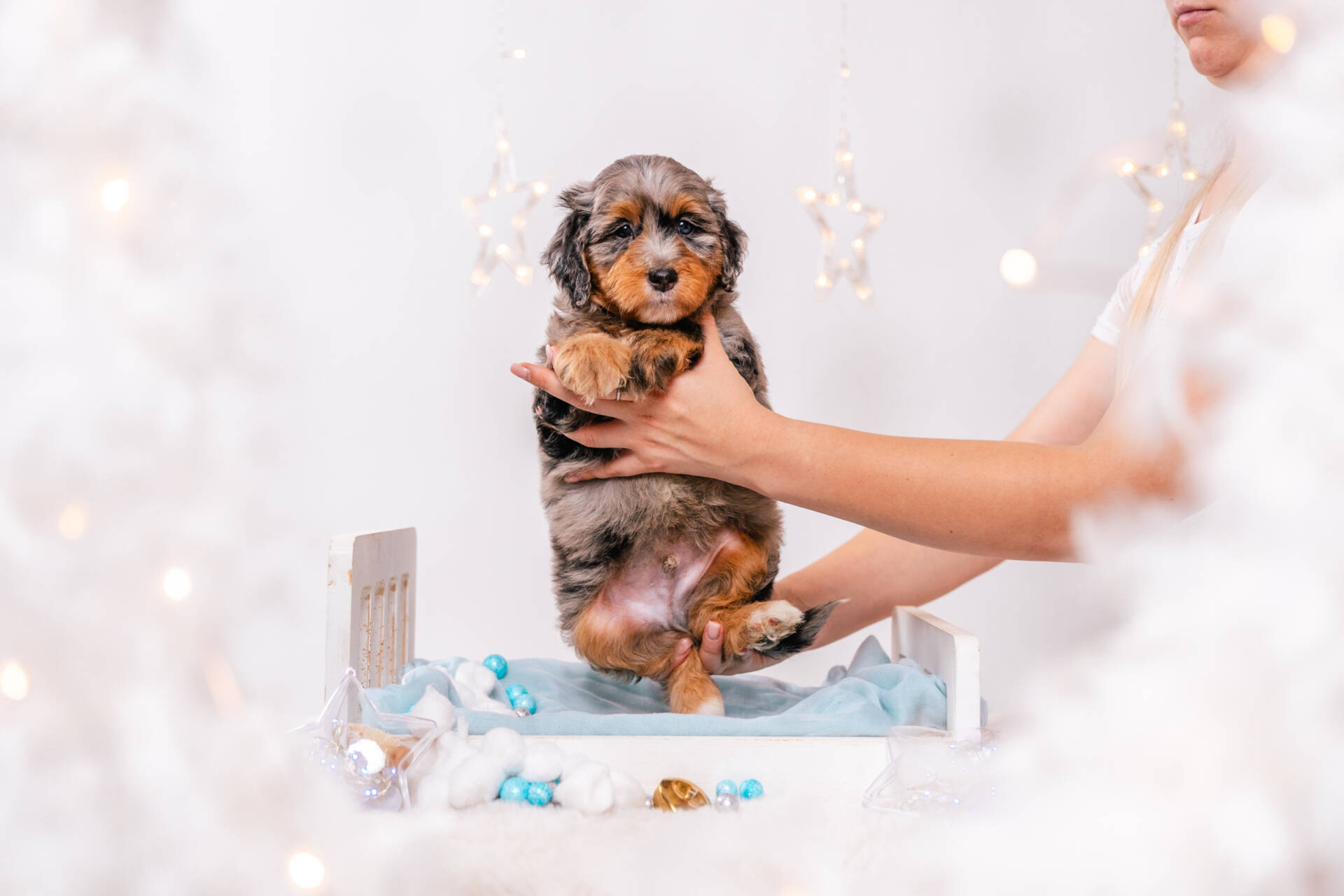 Dorian - Mini F2 Boy - Image 2