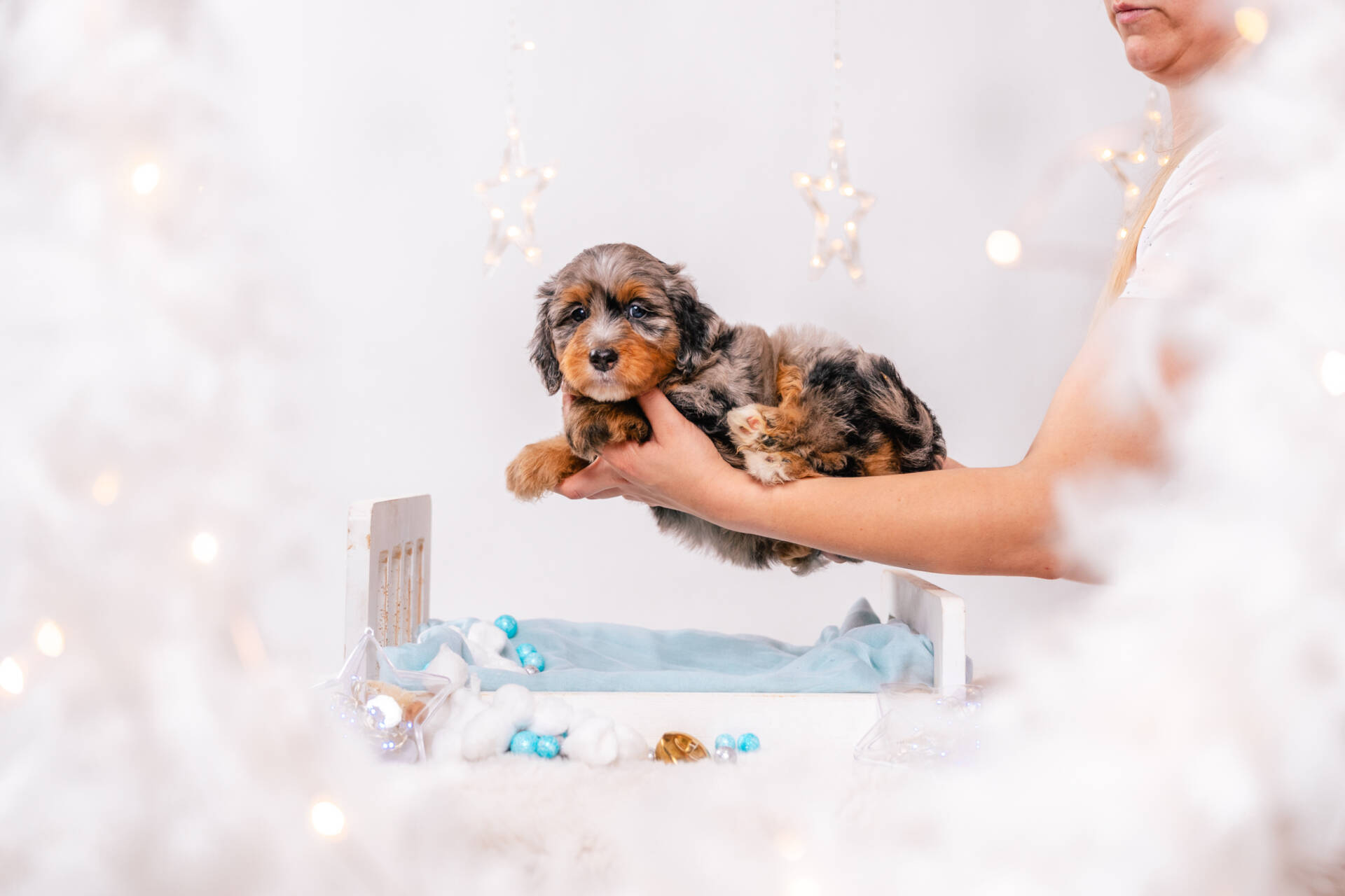 Dorian - Mini F2 Boy - Image 3