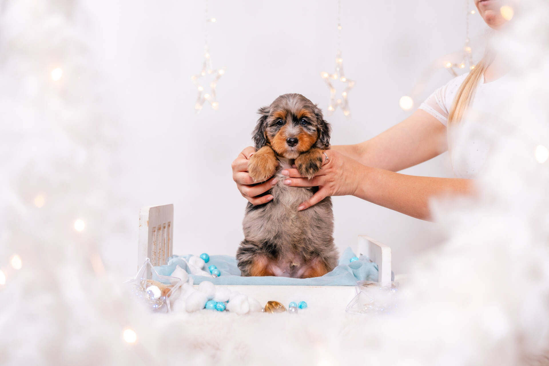 Dorian - Mini F2 Boy - Image 4